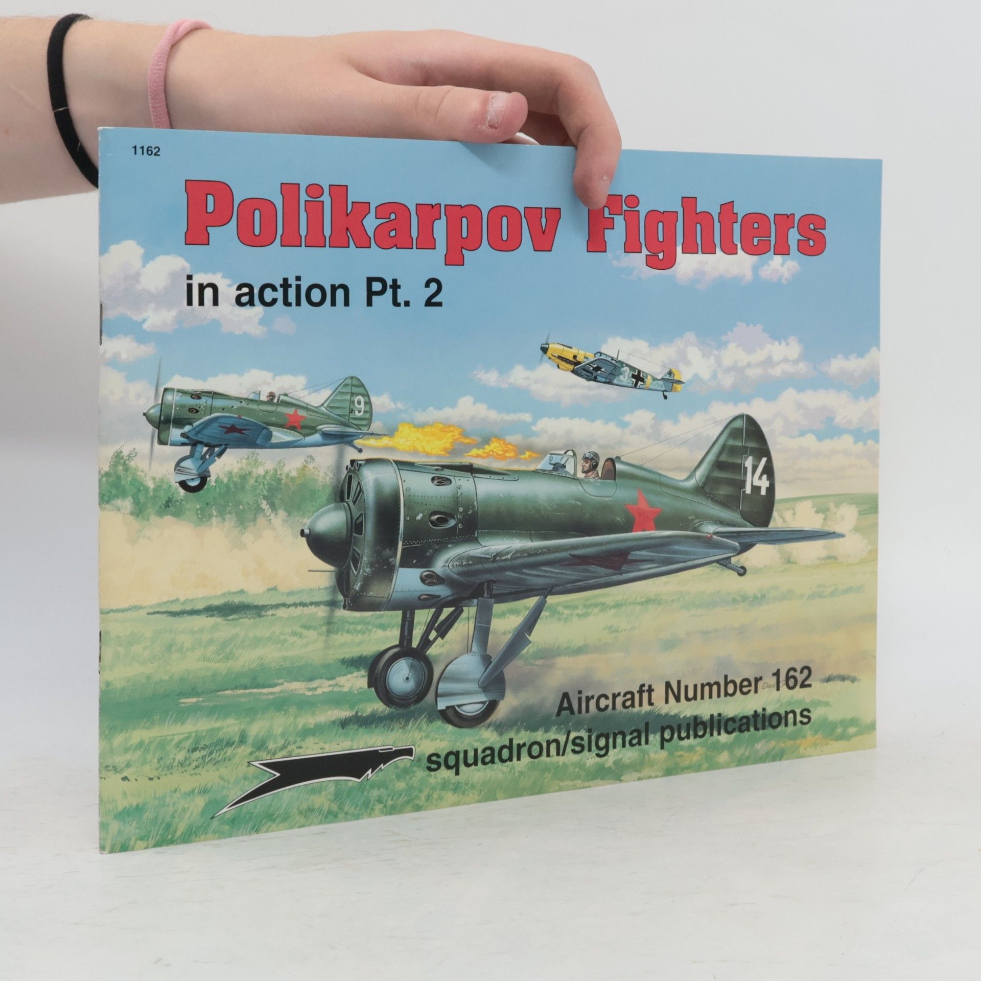 Polikarpov Fighters In Action
