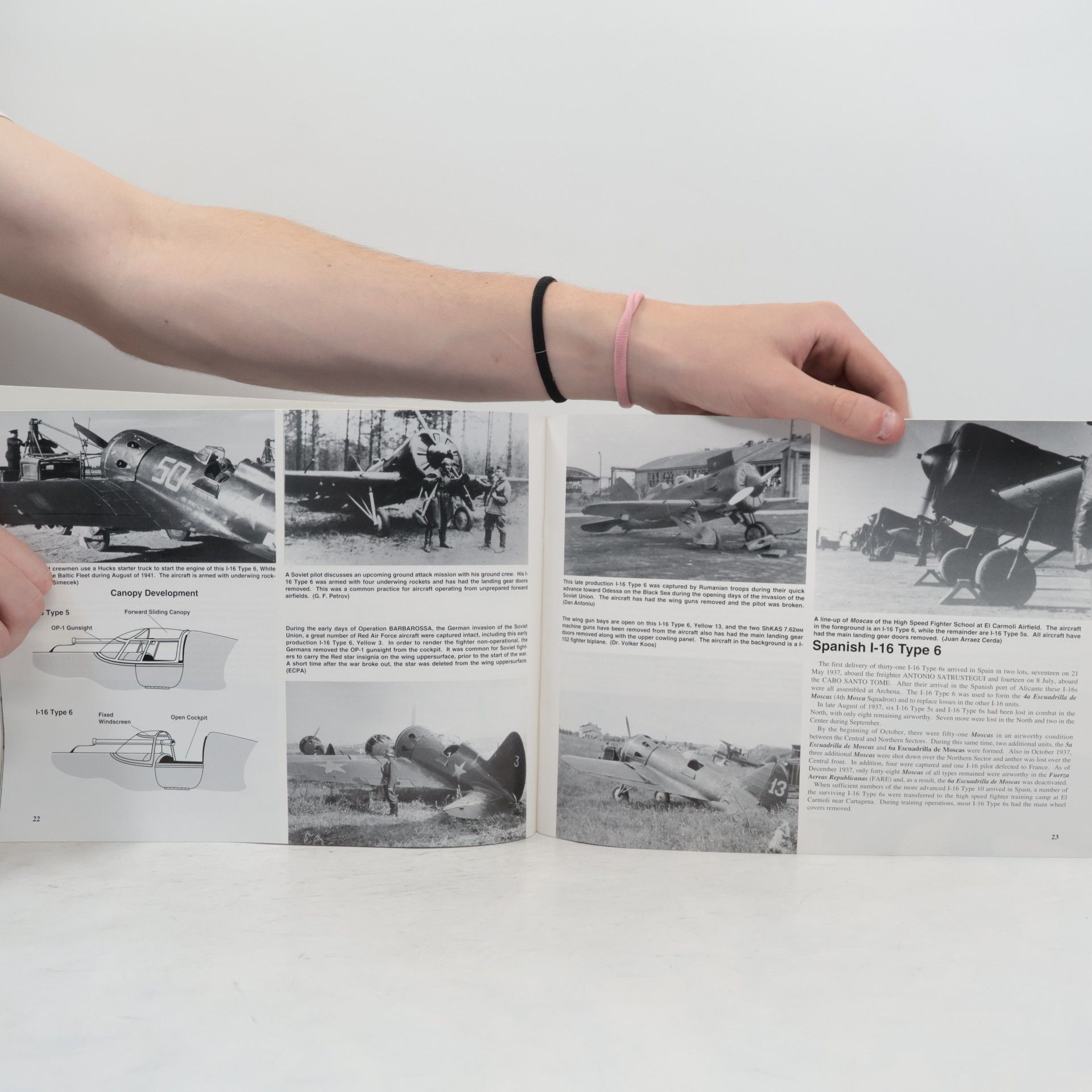 Joe Sewell Polikarpov Fighters In Action