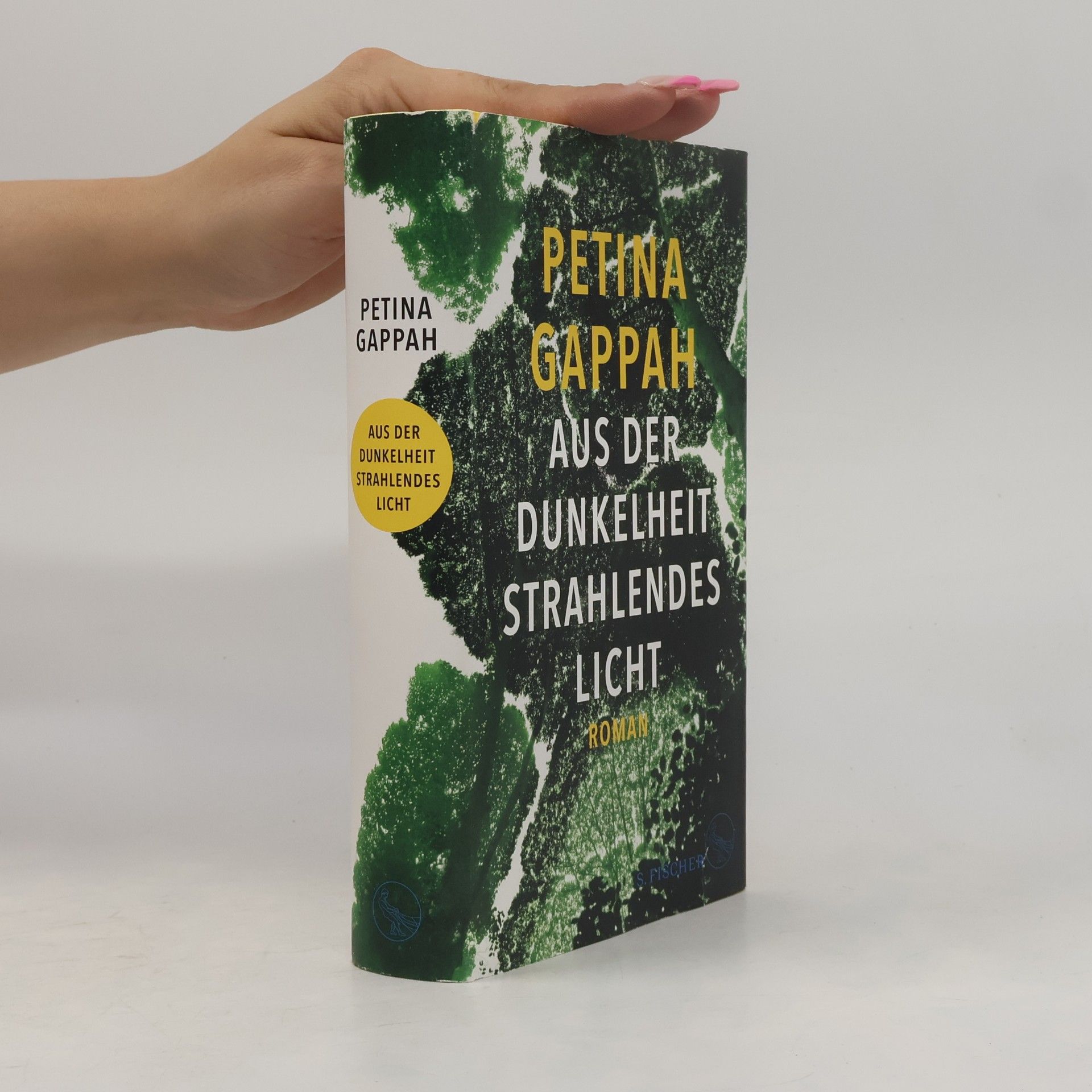Petina Gappah Aus der Dunkelheit strahlendes Licht