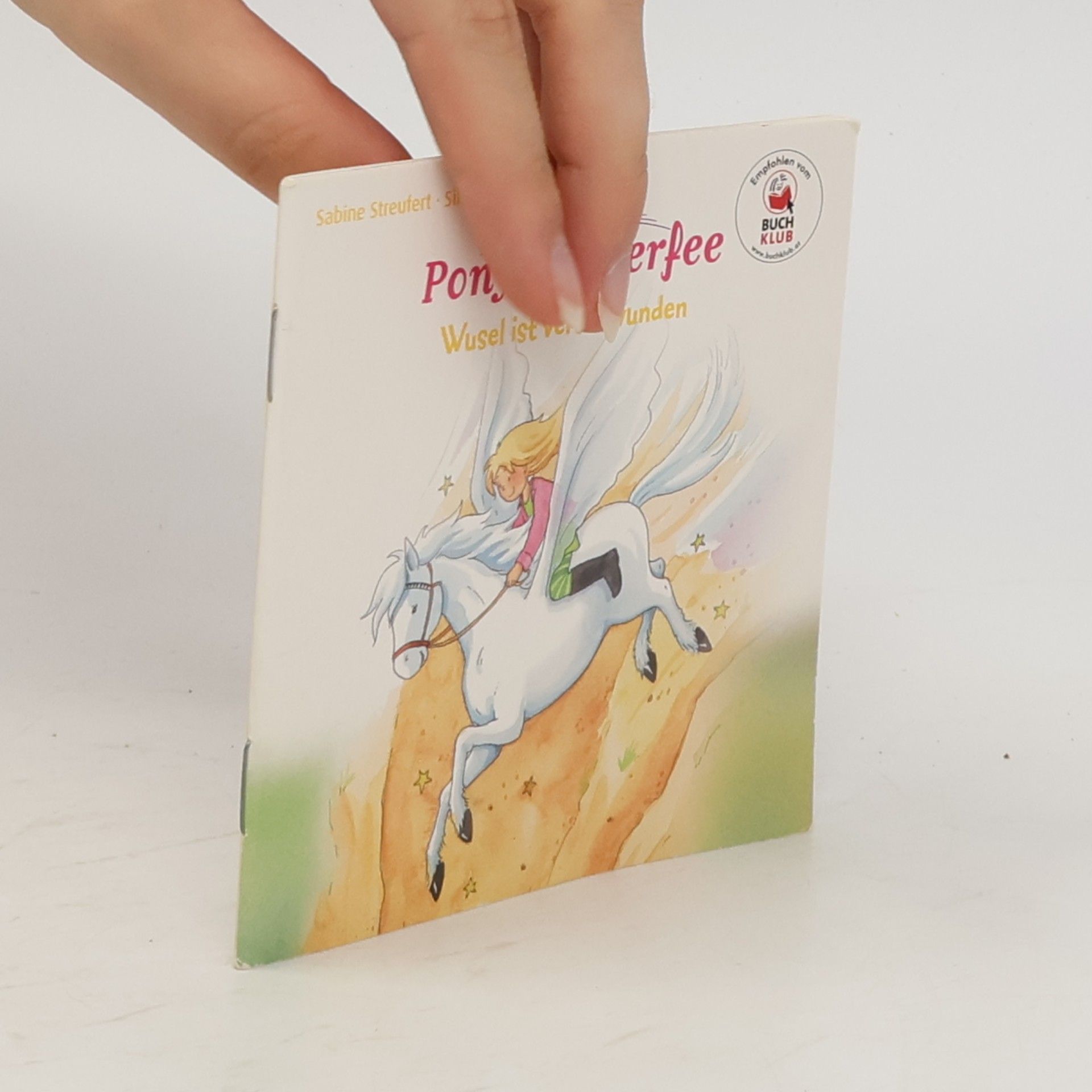 Silke Voigt Pony Zauberfee