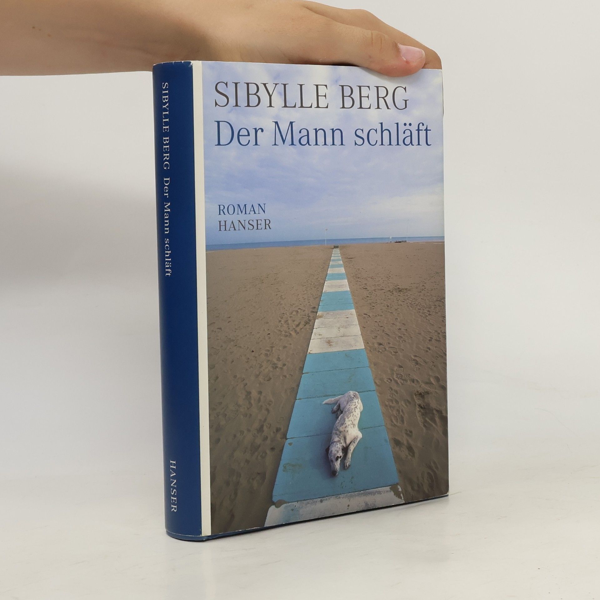 Sibylle Berg Der Mann schläft