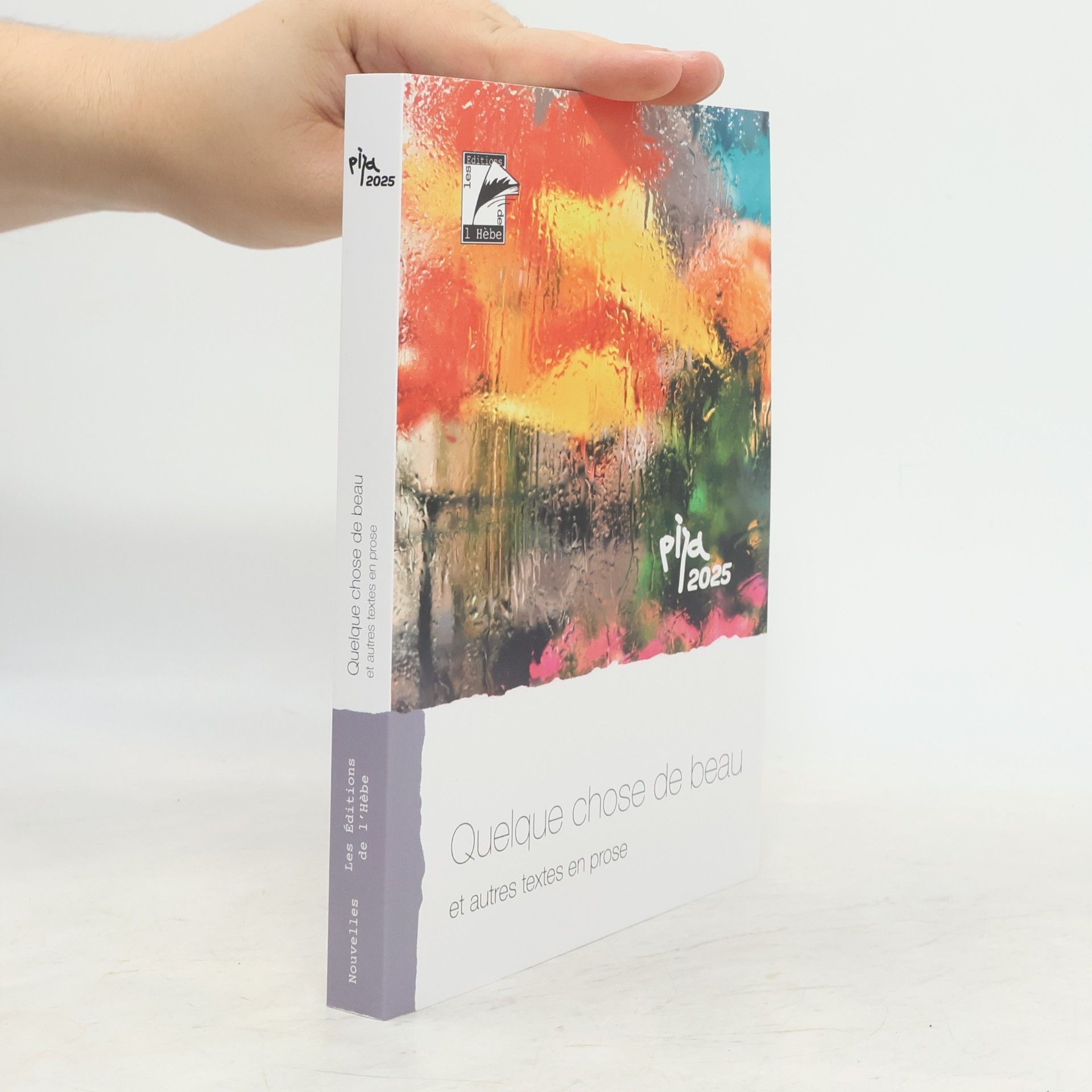 Autorenkollektiv Quelque chose de beau: Textes primés, remarqués et publiés