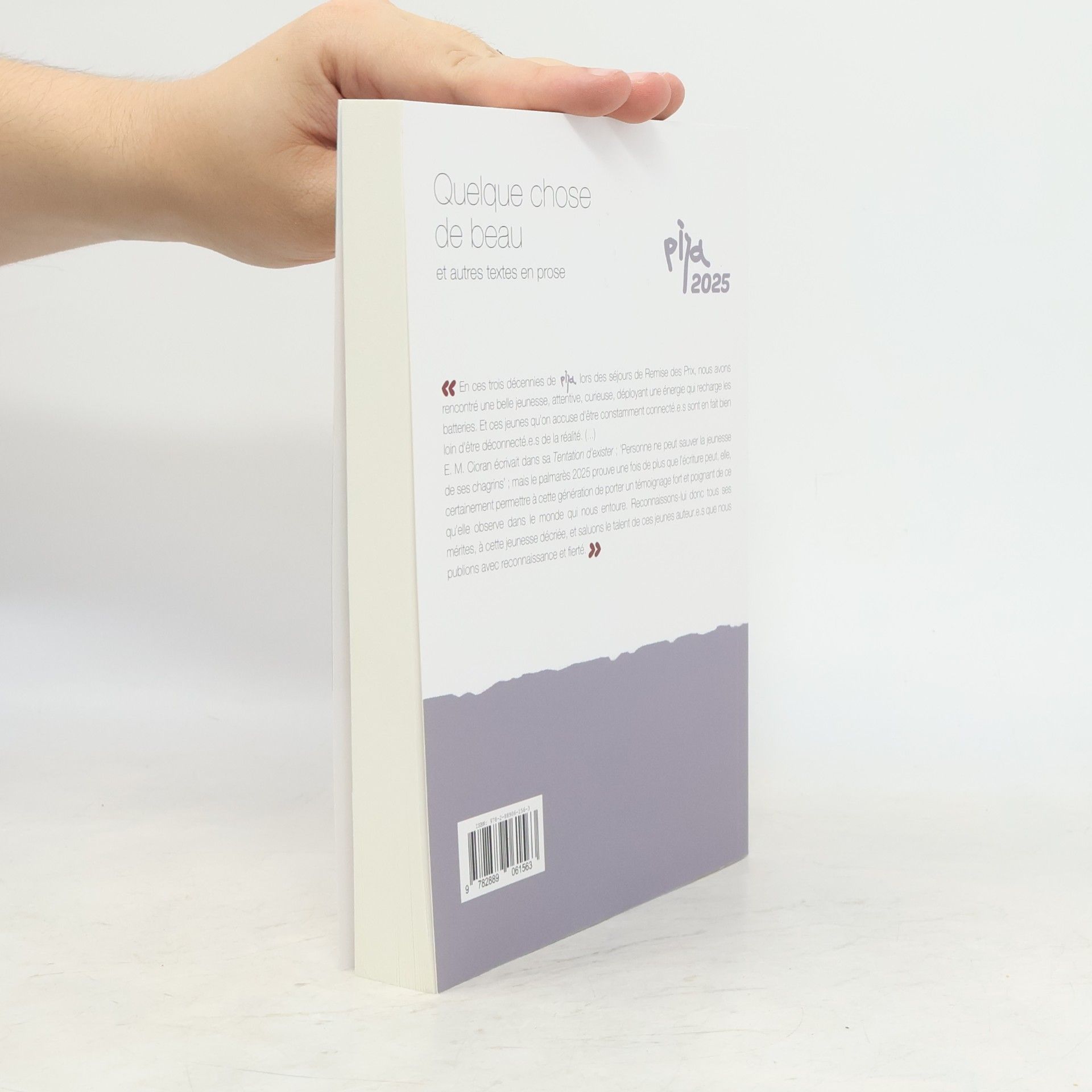 Autorenkollektiv Quelque chose de beau: Textes primés, remarqués et publiés