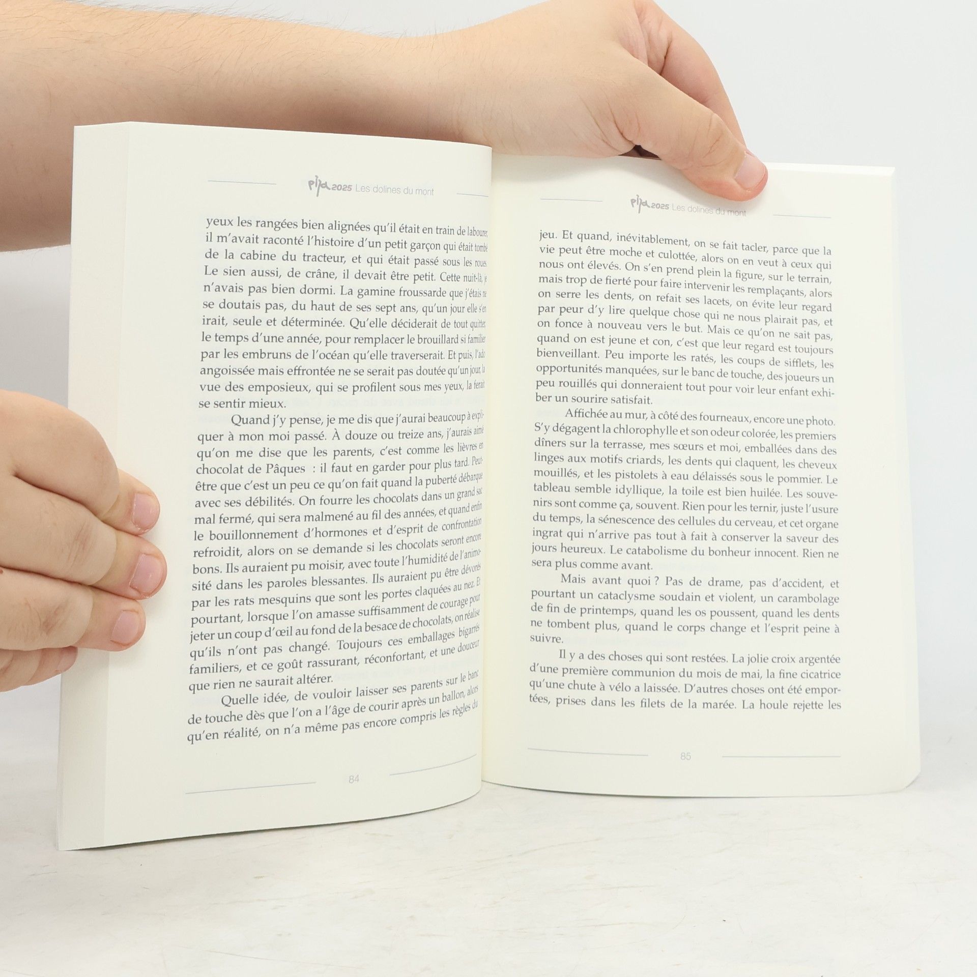 Autorenkollektiv Quelque chose de beau: Textes primés, remarqués et publiés