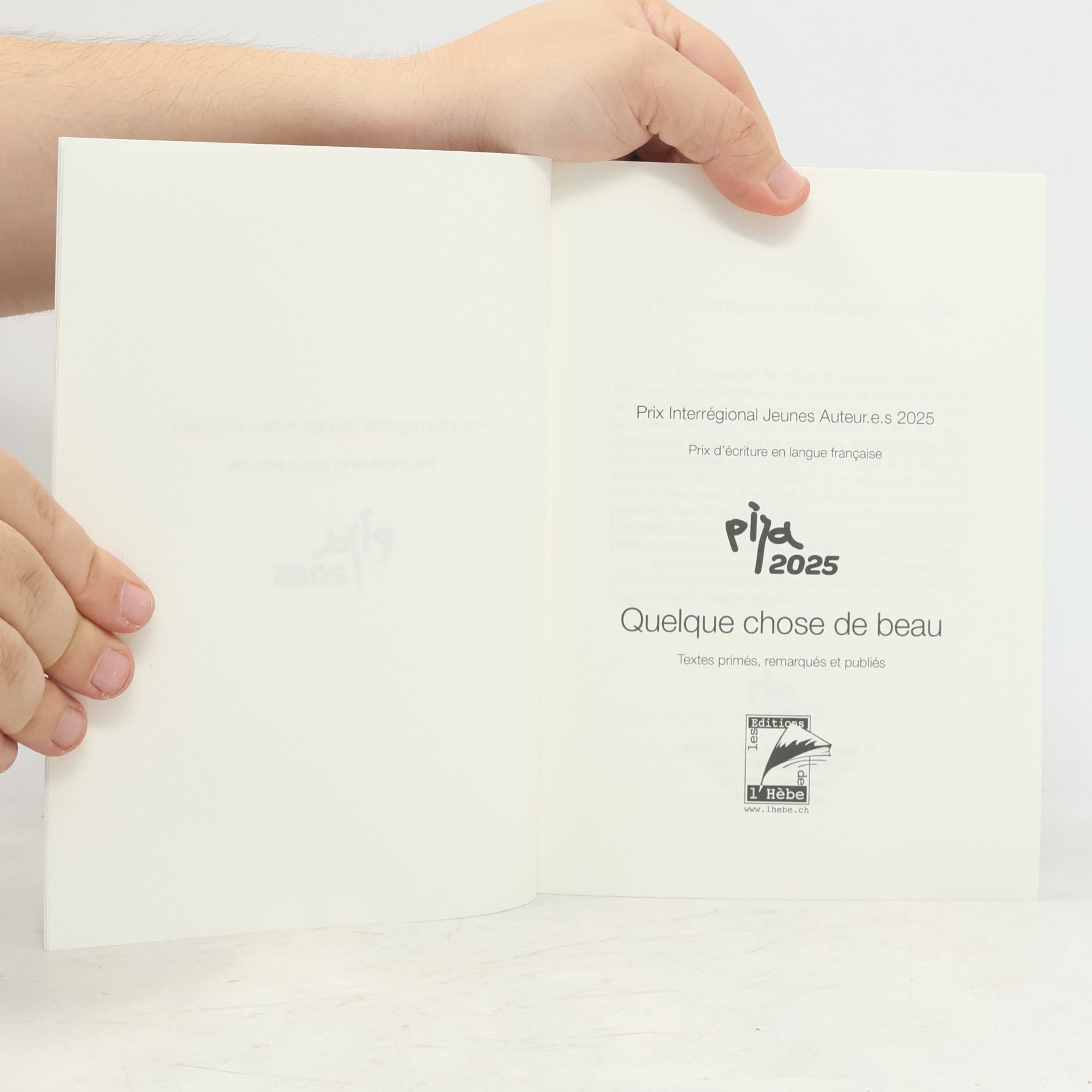 Autorenkollektiv Quelque chose de beau: Textes primés, remarqués et publiés