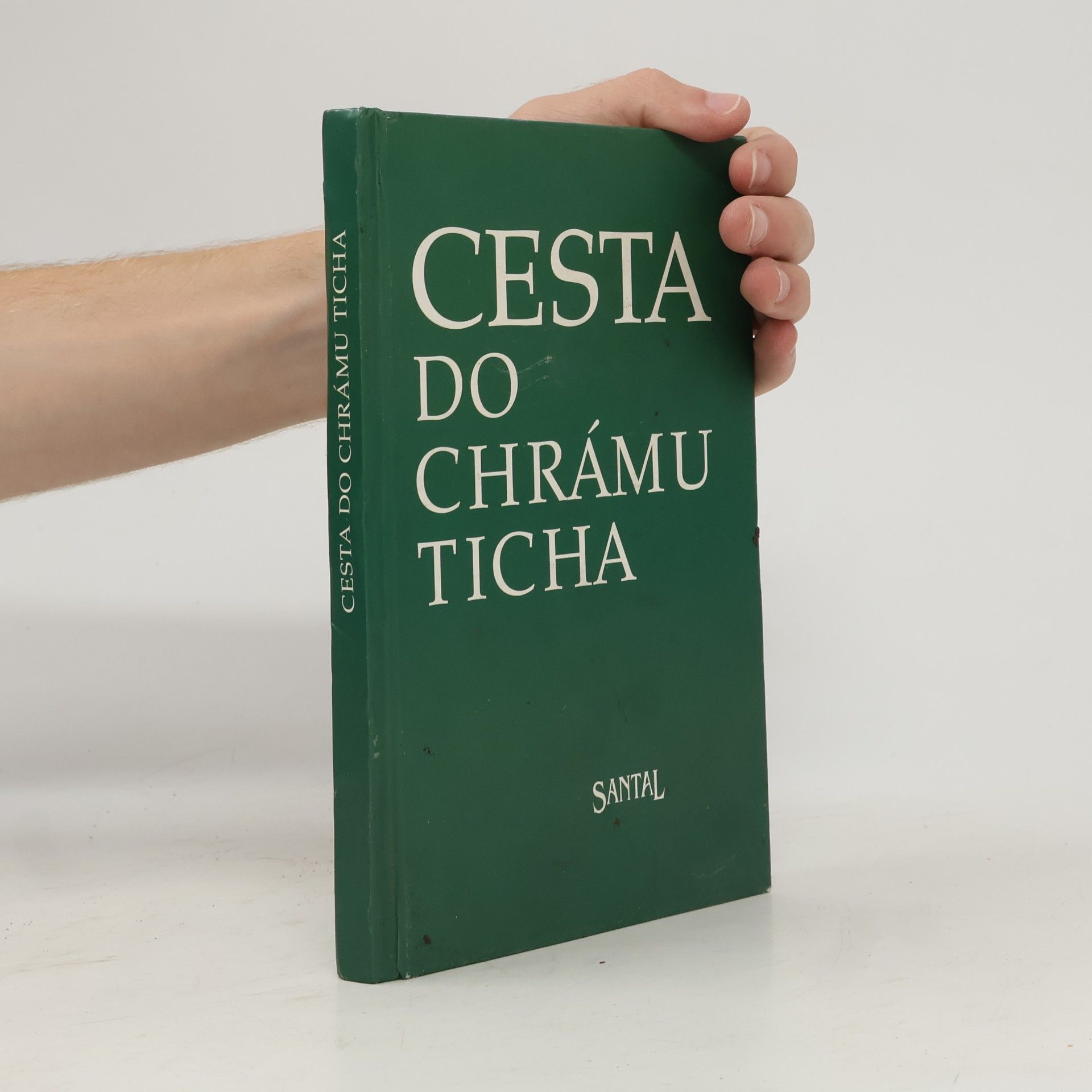 M. Mihulová Cesta do chrámu ticha: Hledání smyslu a podstaty života
