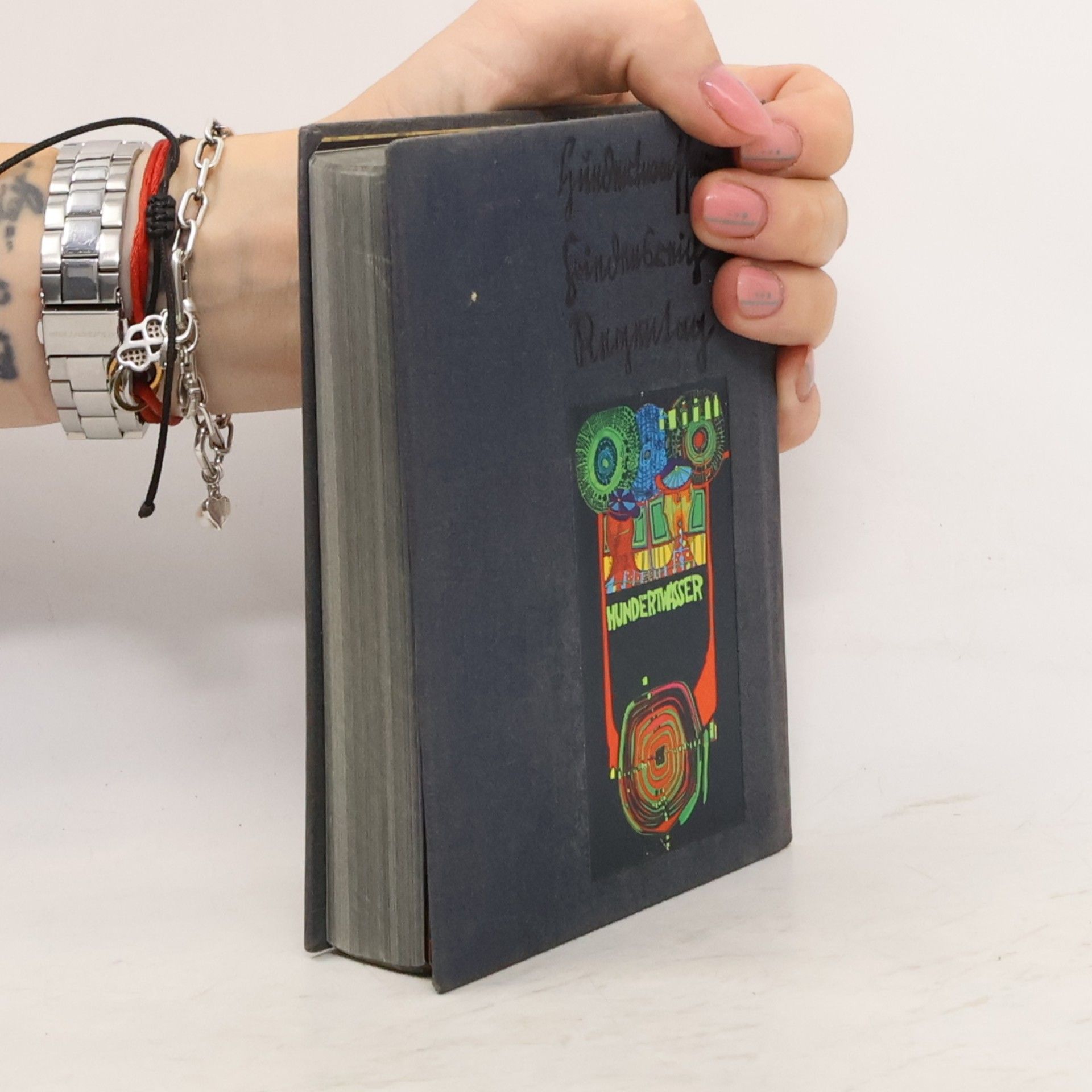 Joram Harel Der Unbekannte Hundertwasser = The yet unknown Hundertwasser