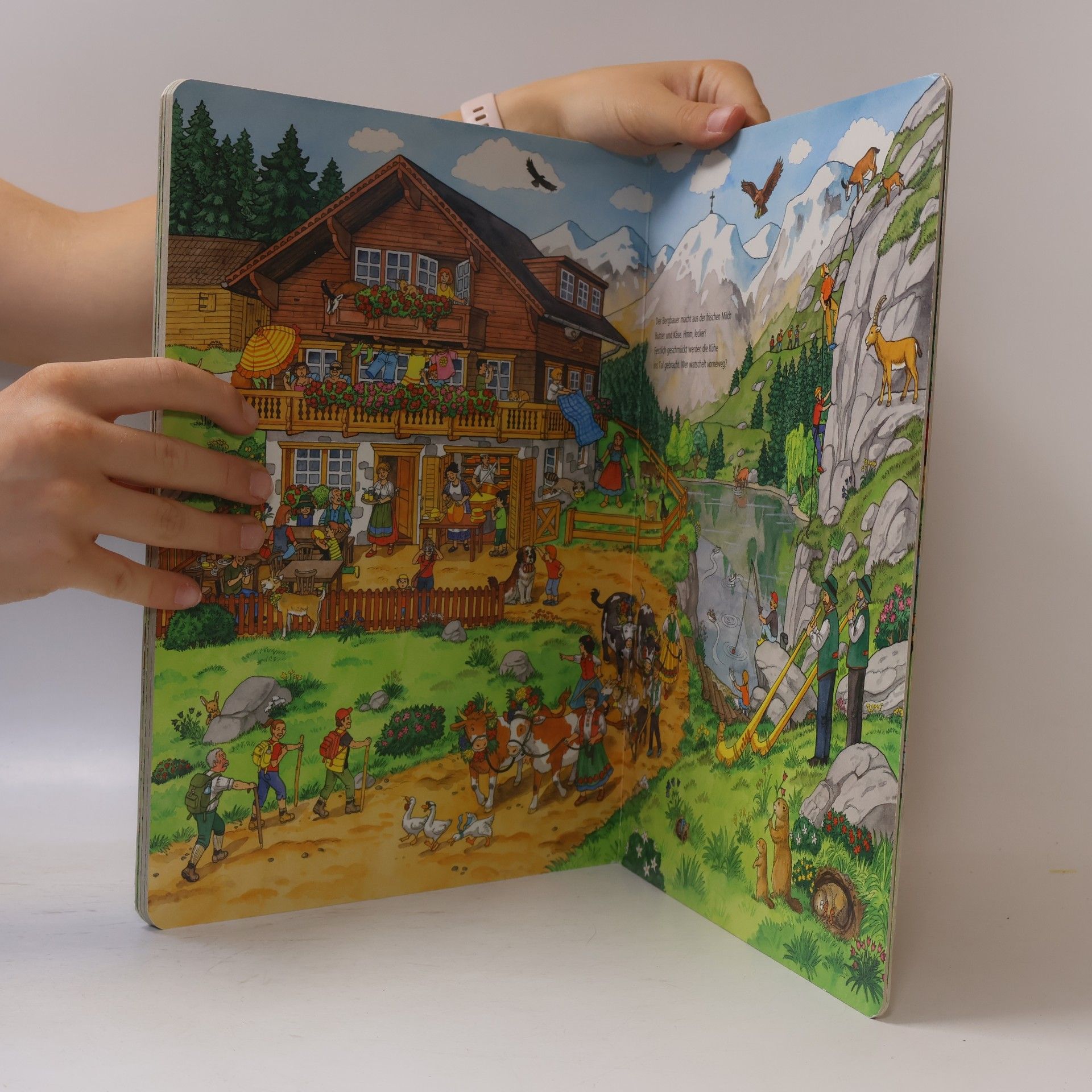 Autorenkollektiv Mein liebstes Wimmelbuch Bauernhof