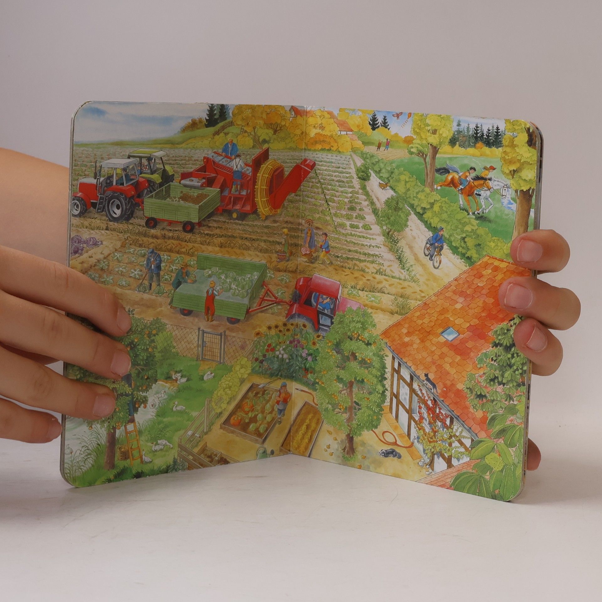 Anne Suess Mein Mini Wimmelbuch Bauernhof
