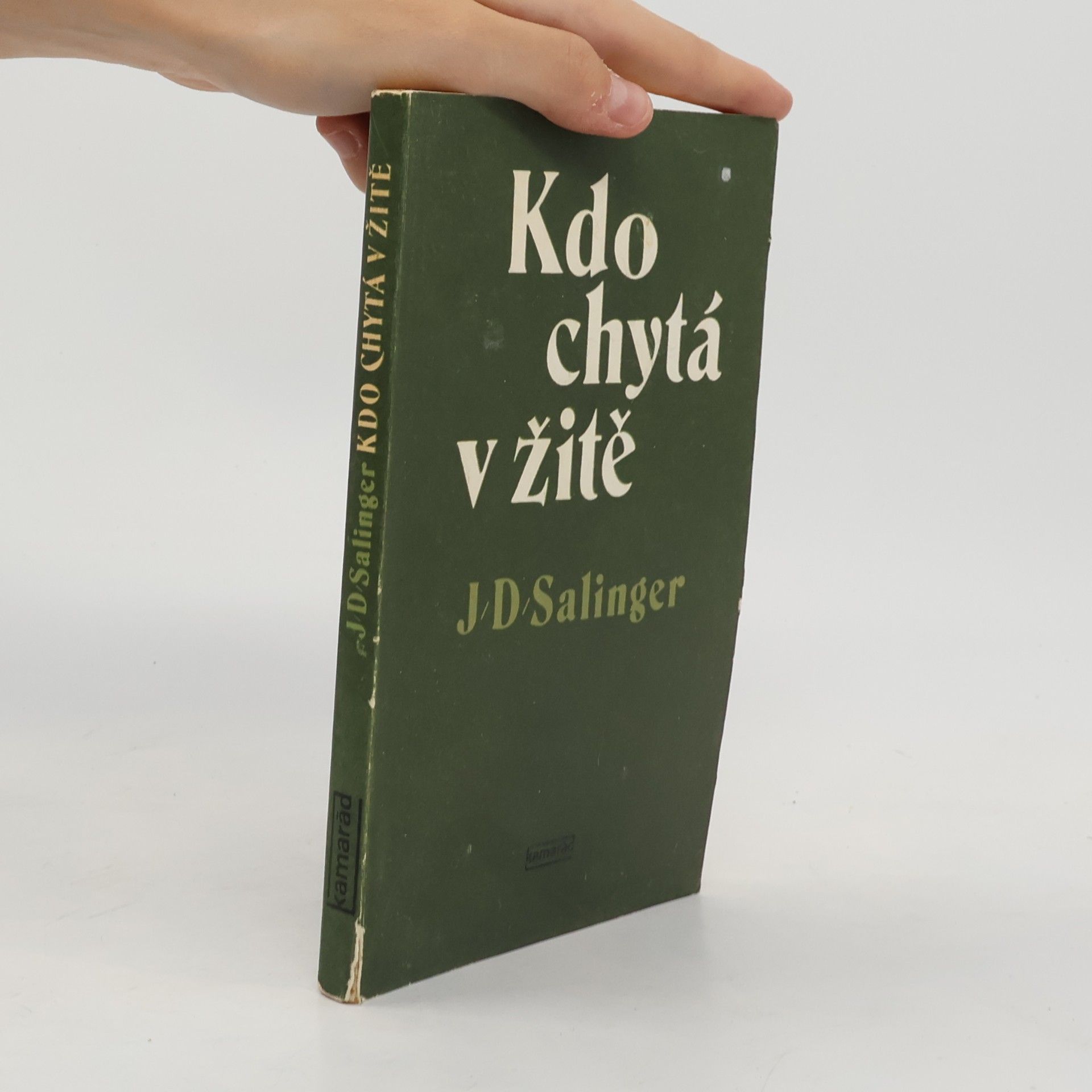 Jerome David Salinger Kdo chytá v žitě