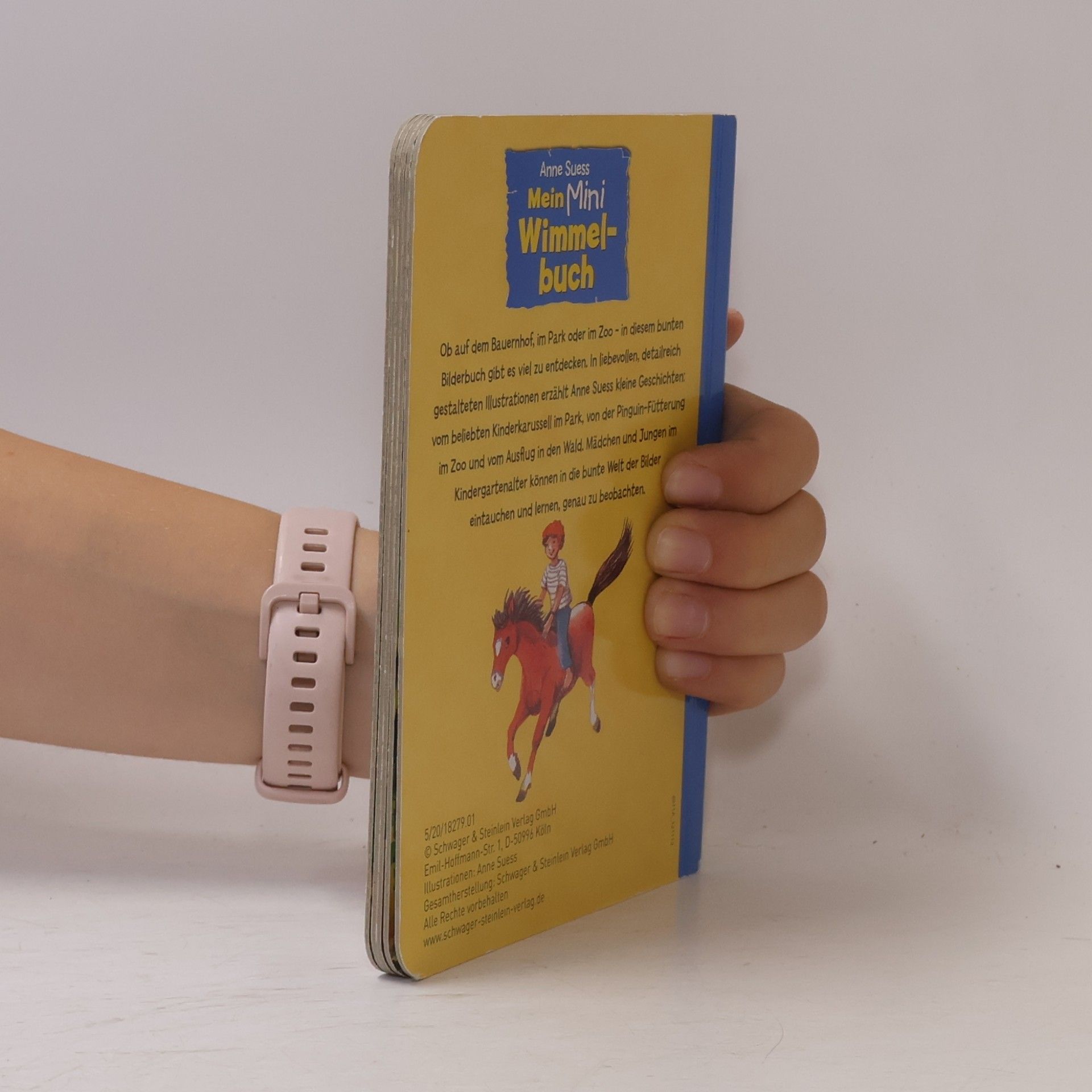 Anne Suess Mein Mini Wimmelbuch
