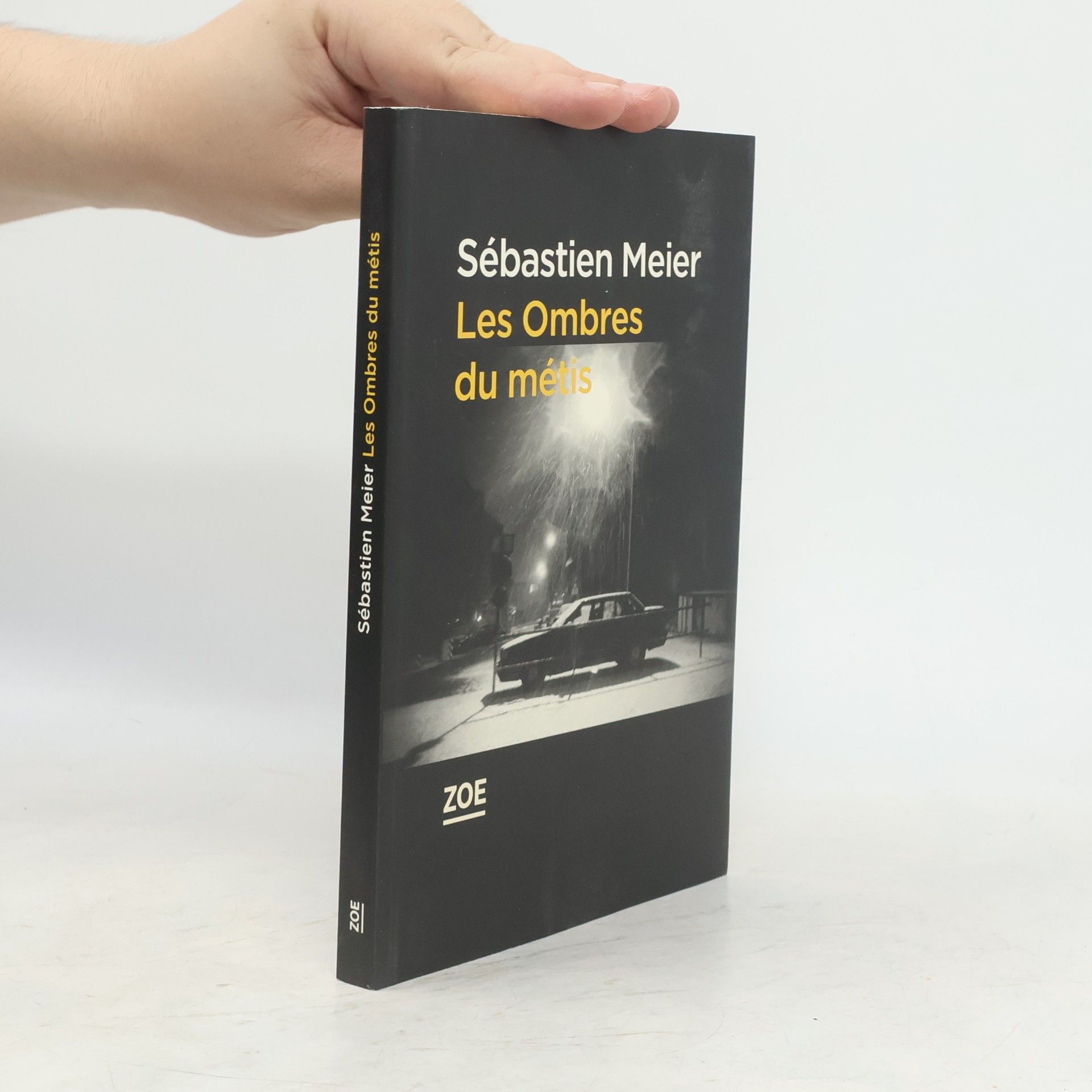 Sébastien Meier LES OMBRES DU METIS