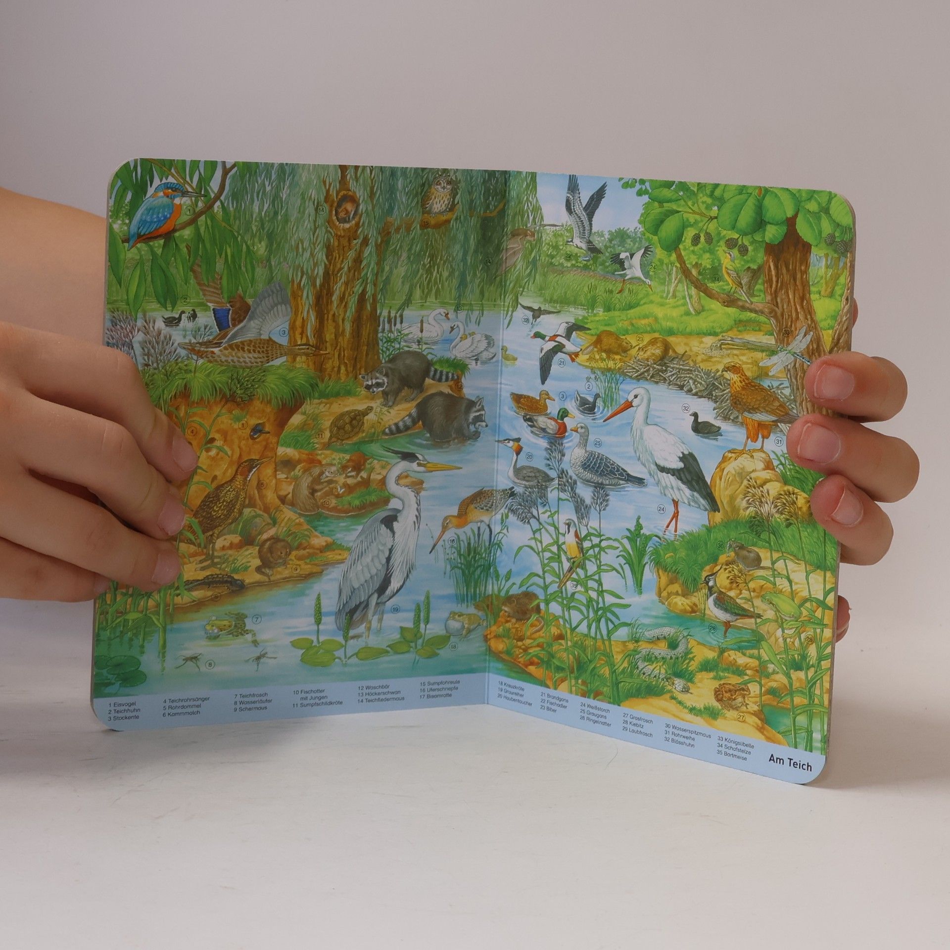 Anne Suess Mein Mini Wimmelbuch. Tiere