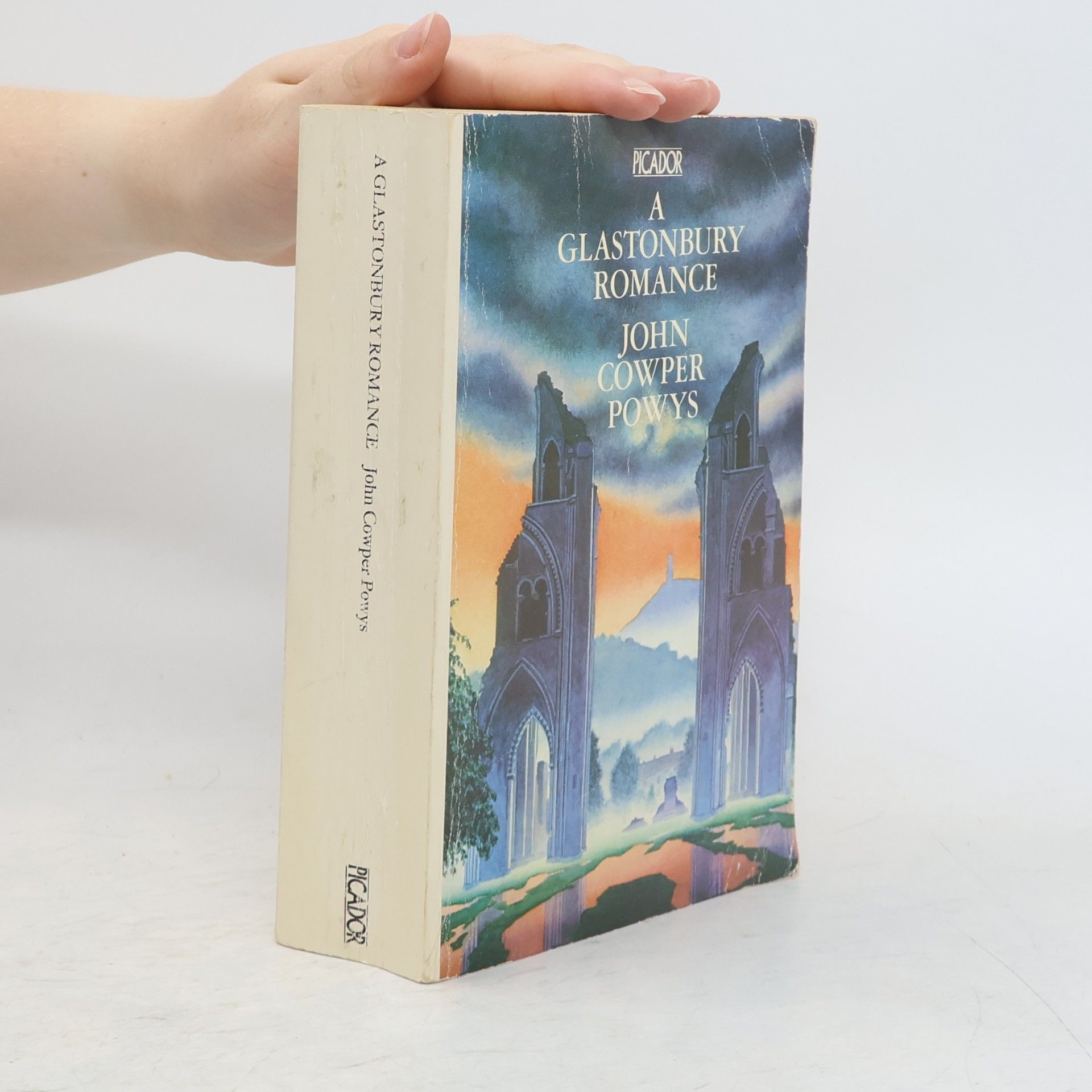 John Cowper Powys Glastonbury Romance (Picador Books)