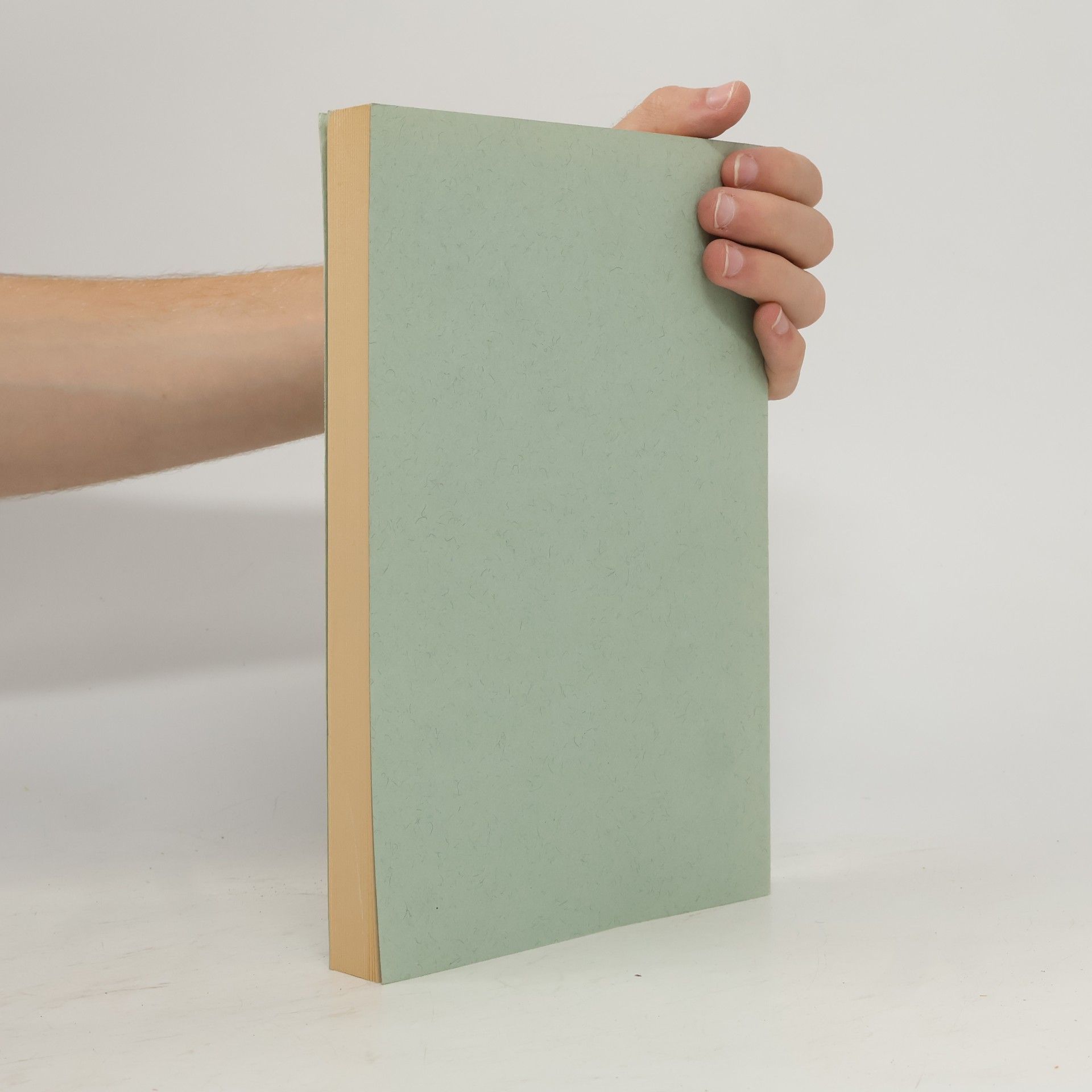Kolektiv autorů Historisches Jahrbuch