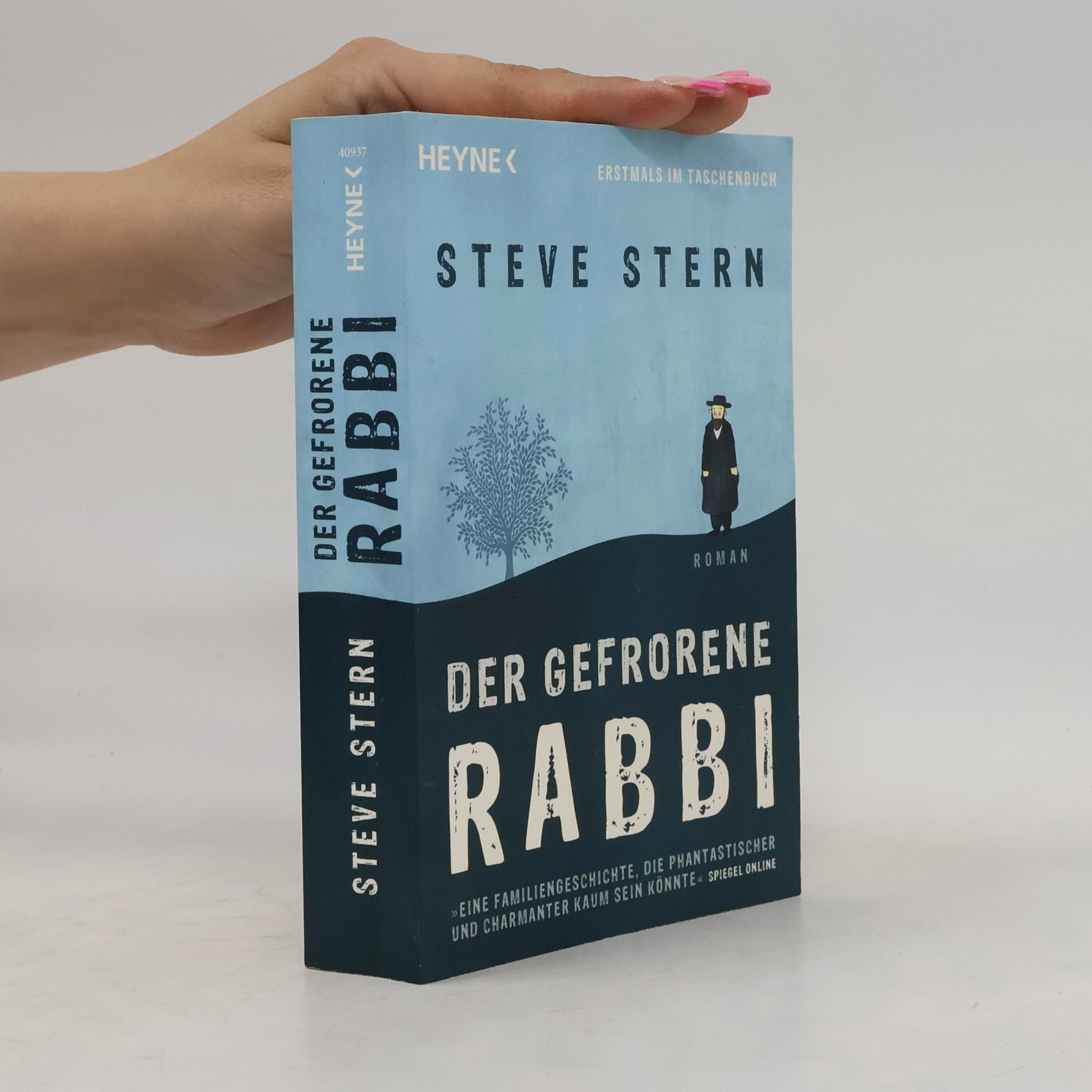 Steve Stern Der gefrorene Rabbi