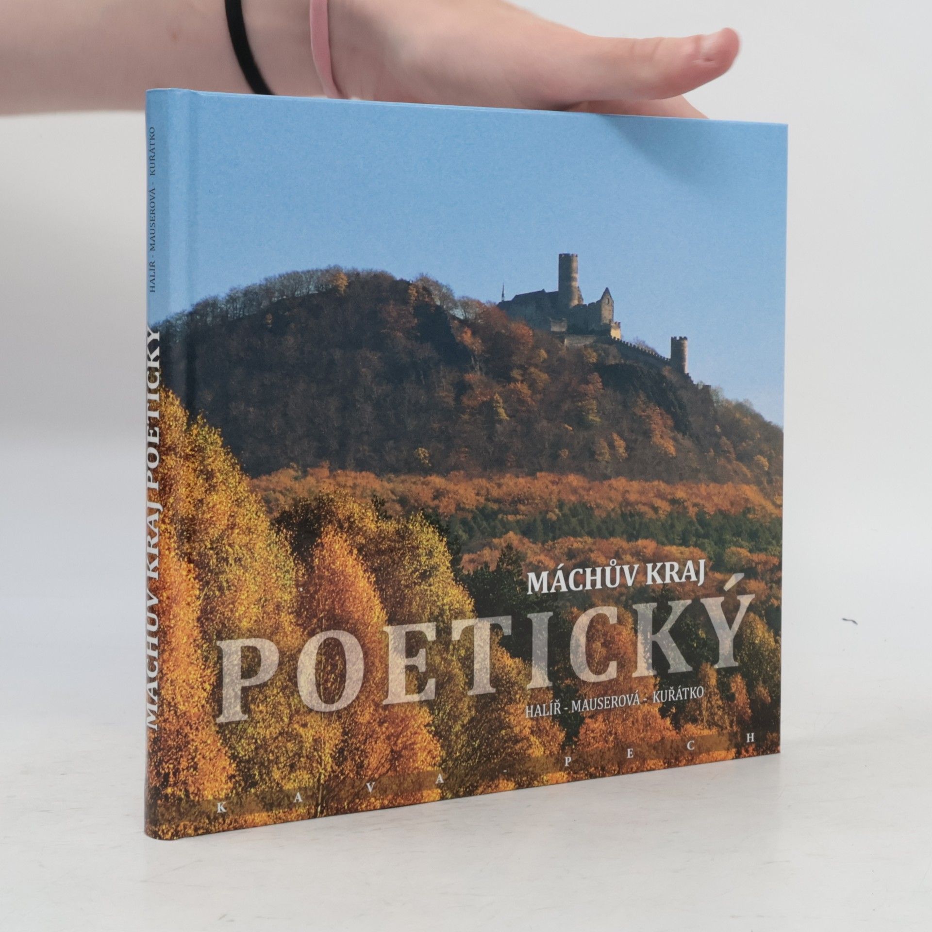 Autorenkollektiv Máchův kraj poetický