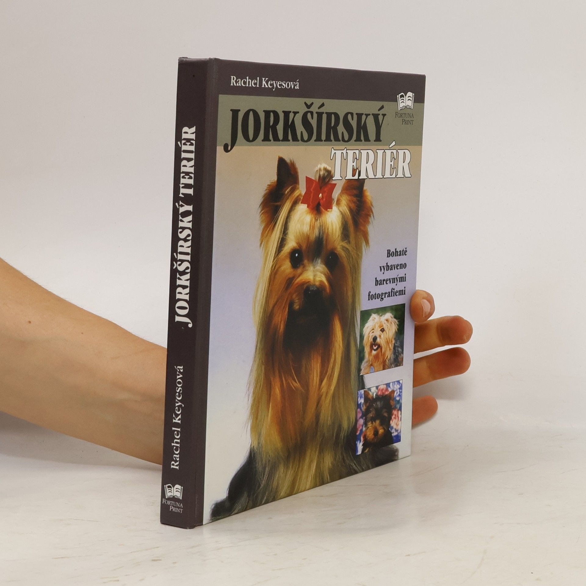 Rachel Keyes Jorkšírský teriér