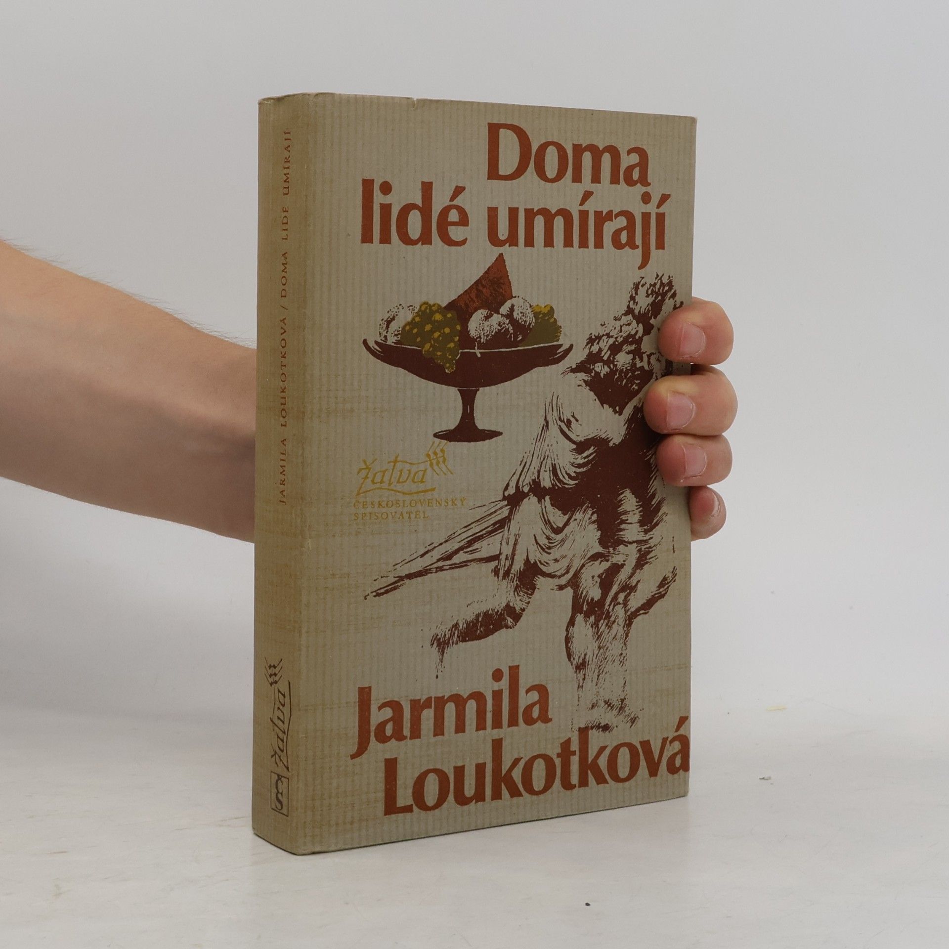 Jarmila Loukotková Doma lidé umírají
