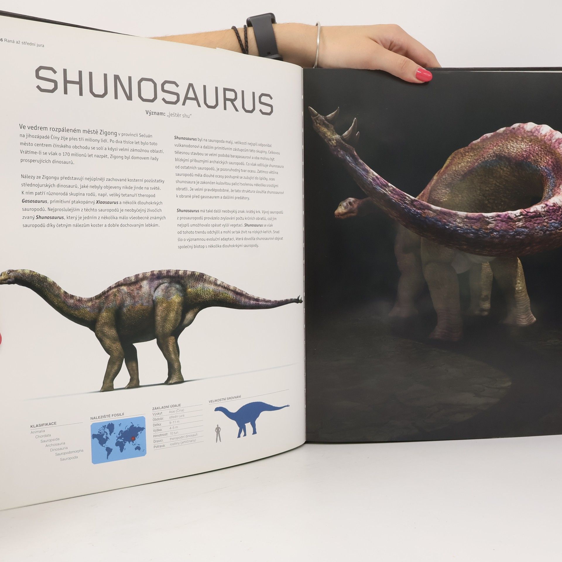 Steve Brusatte Dinosauři