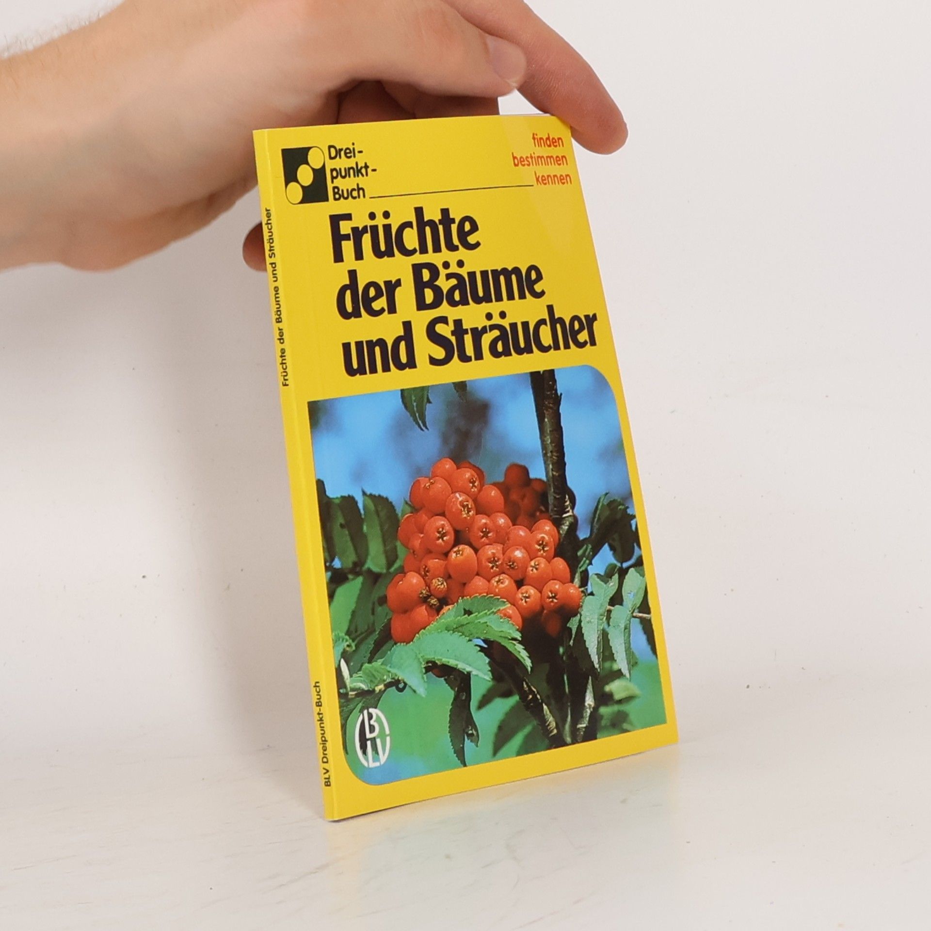 Autorenkollektiv Früchte der Bäume und Sträucher