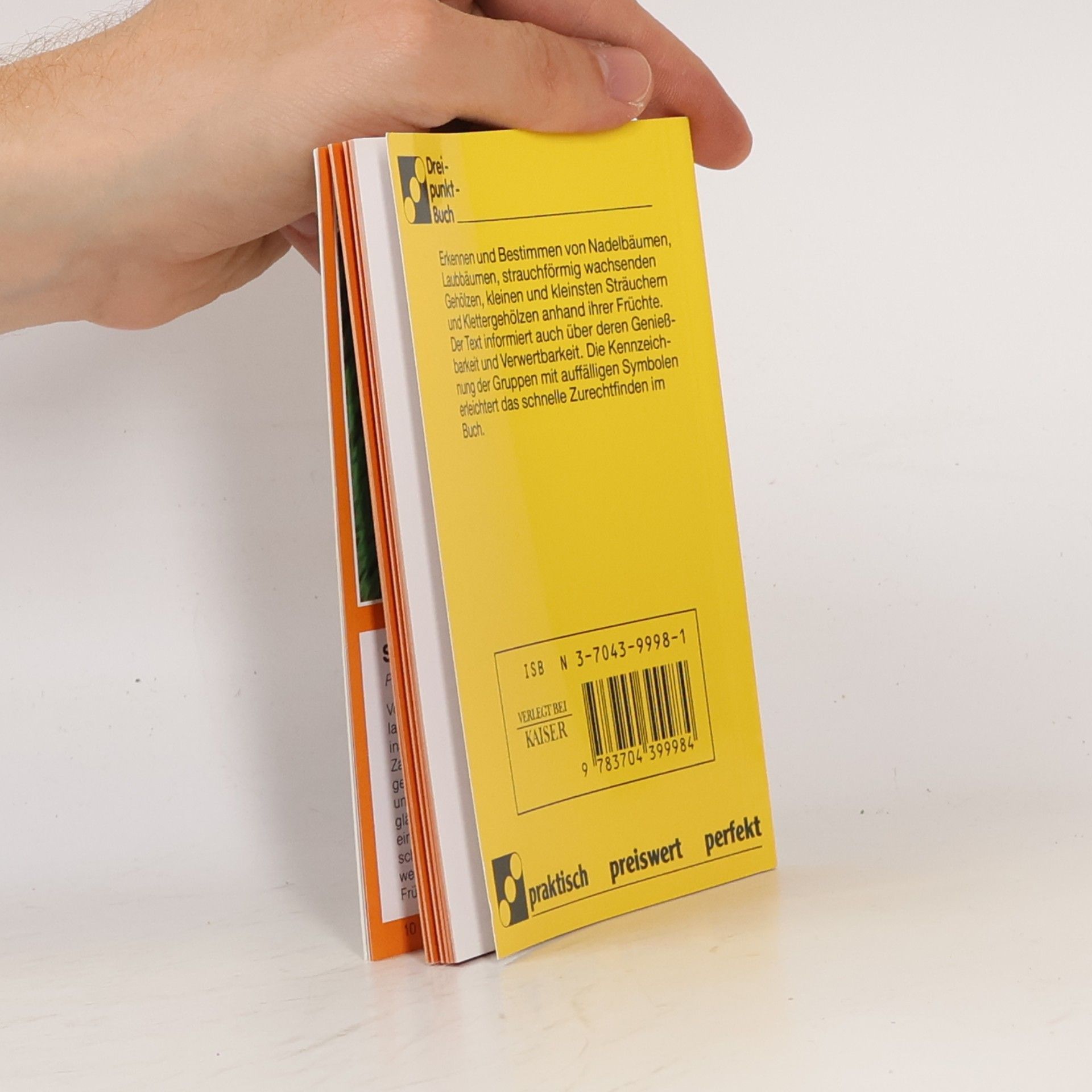 Kolektiv autorů Früchte der Bäume und Sträucher