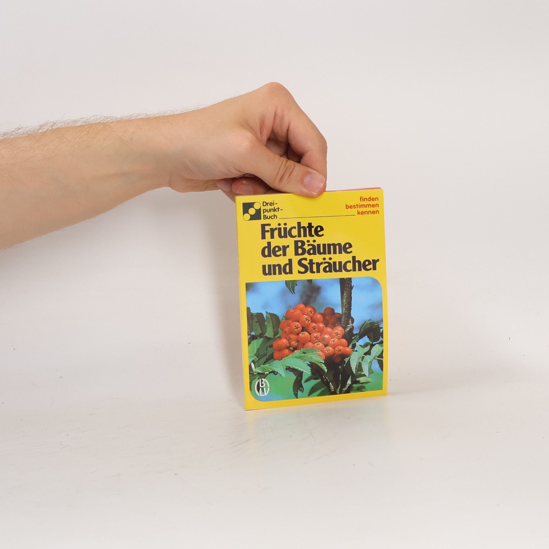 Kolektiv autorů Früchte der Bäume und Sträucher