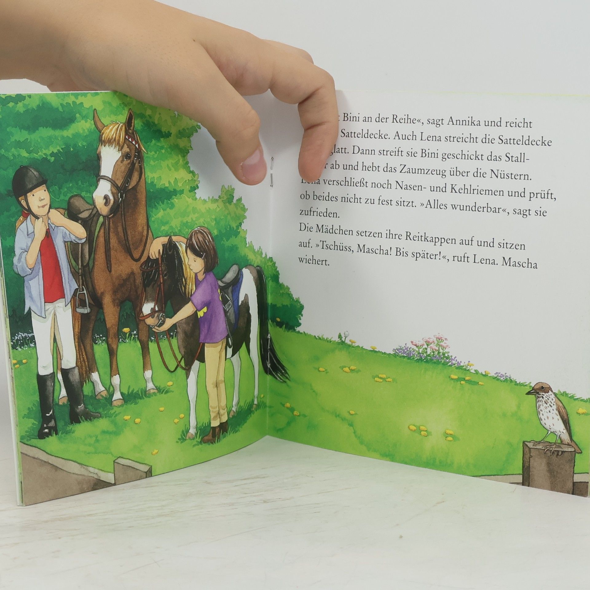 Petra Wiese Unterwegs mit den Ponys