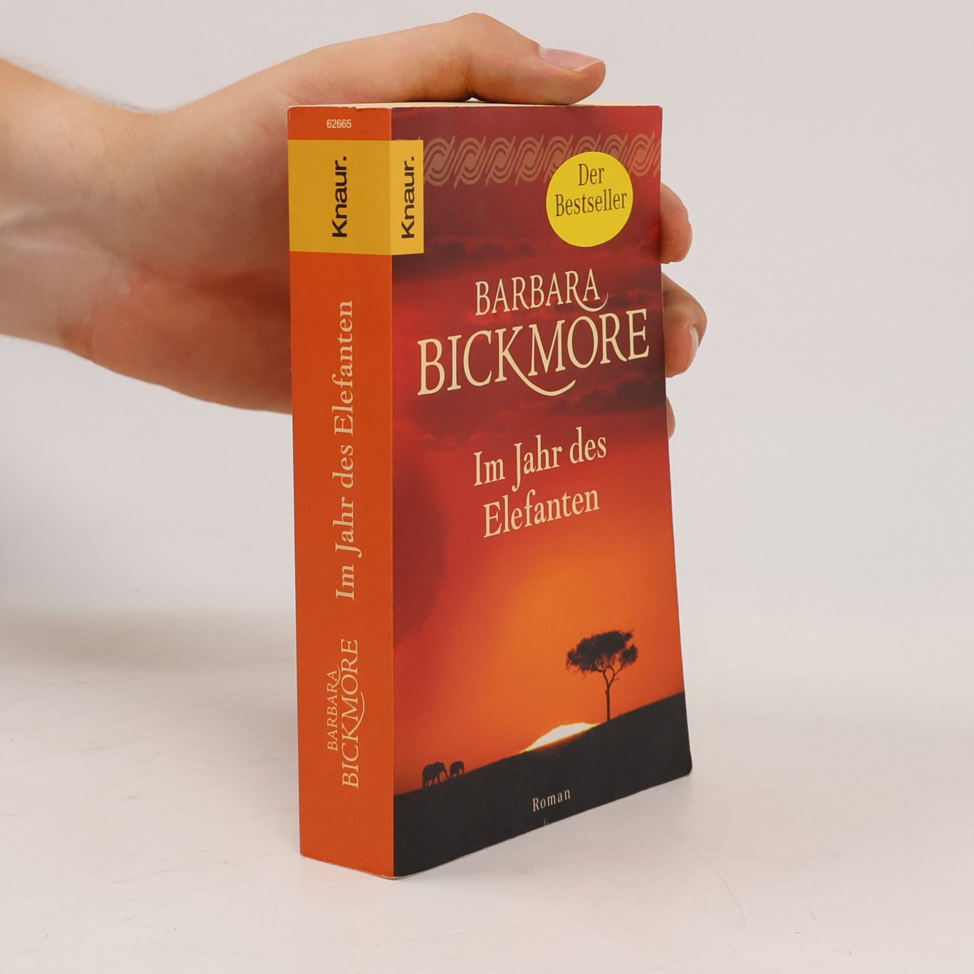 Barbara Bickmore Im Jahr des Elefanten