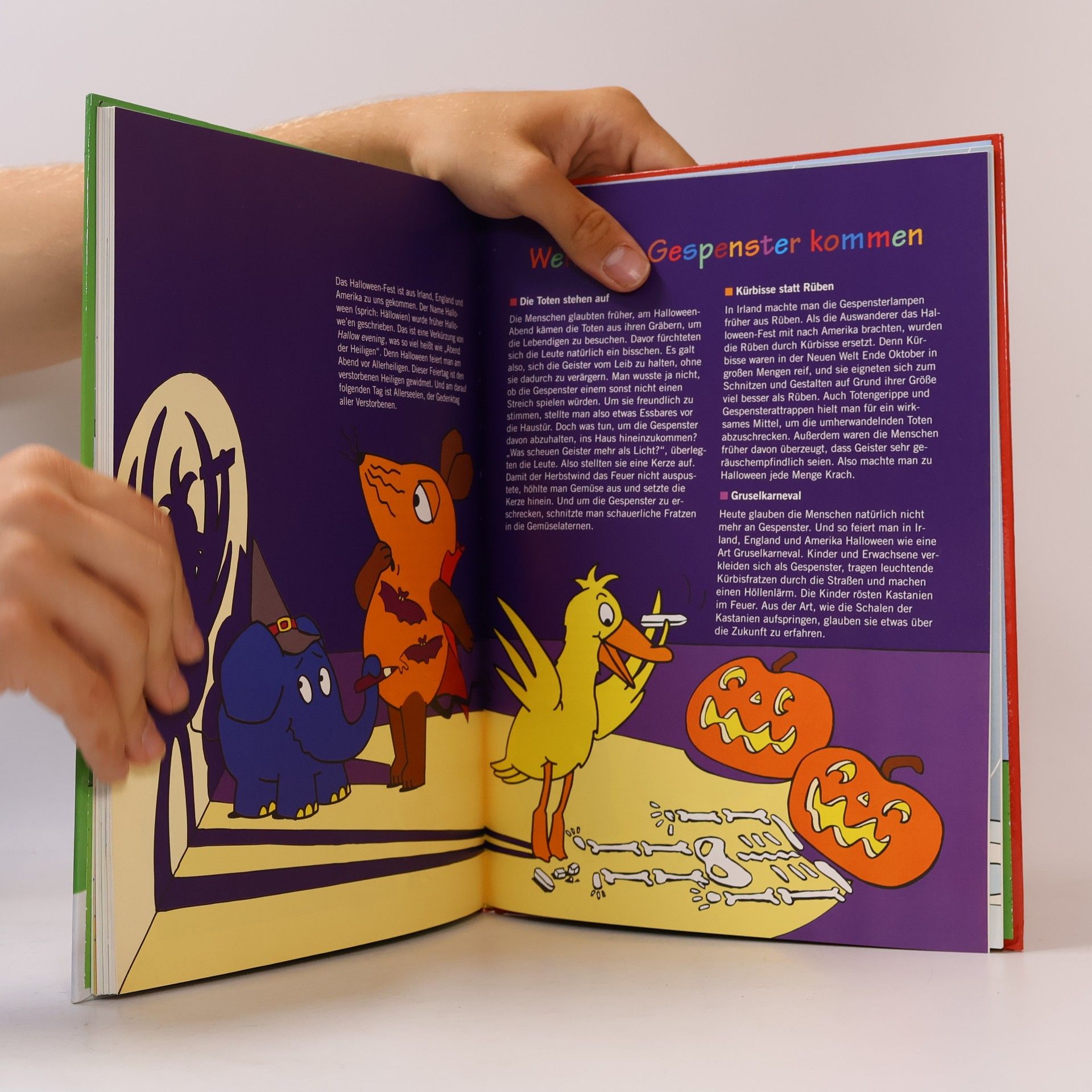 Linda Walz Kinderfeste mit der Maus