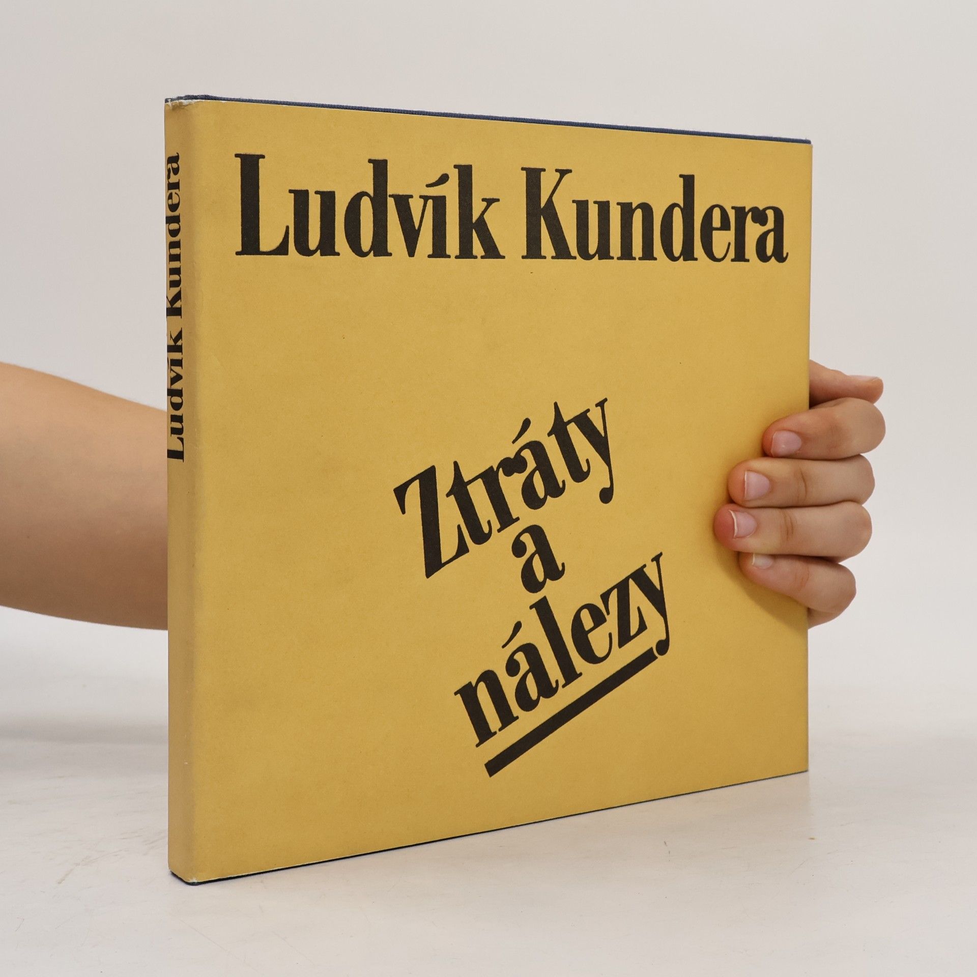 Ztráty a nálezy : poezie 1971-1979