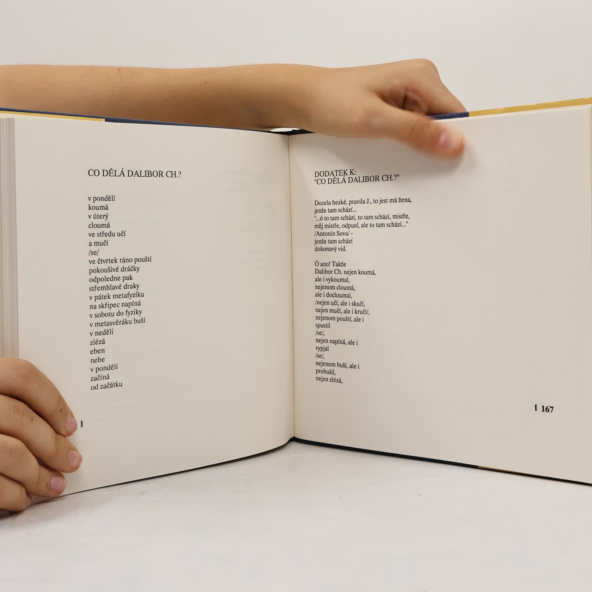 Ludvík Kundera Ztráty a nálezy : poezie 1971-1979