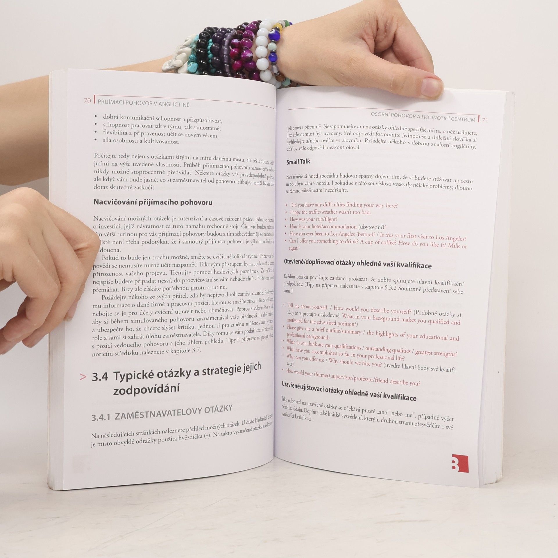 Autorenkollektiv Přijímací pohovor v angličtině