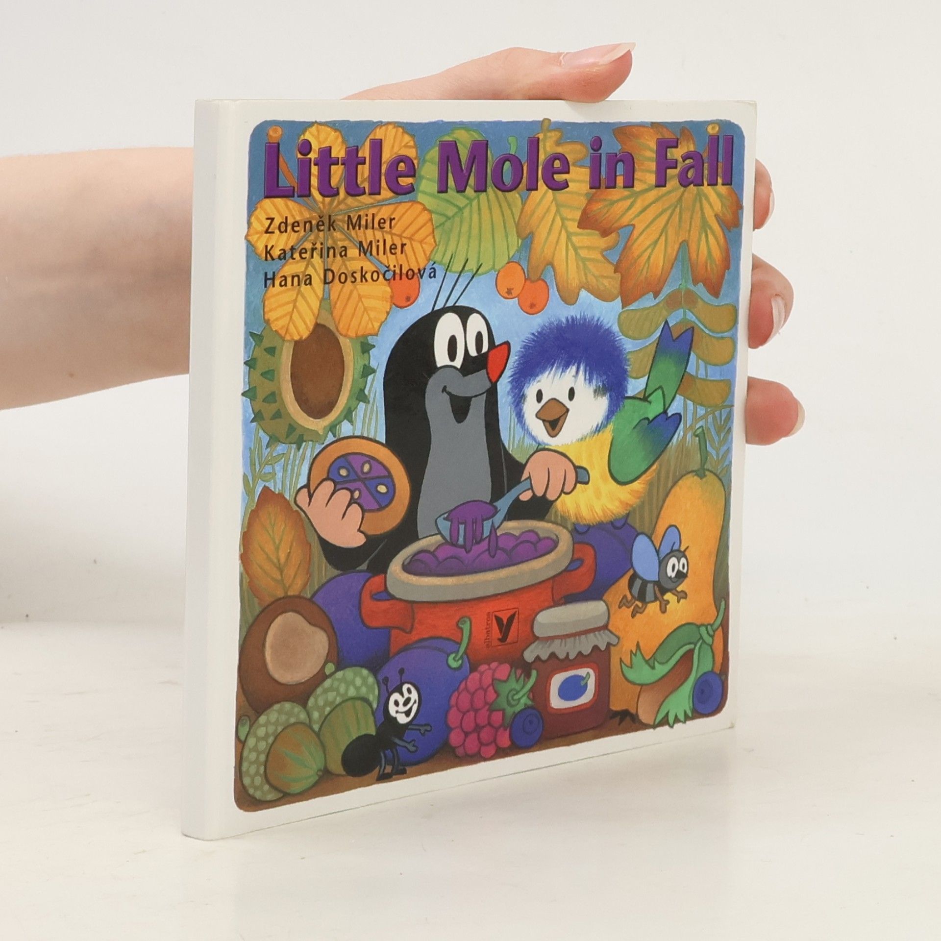 Kolektiv autorů Little mole in fall