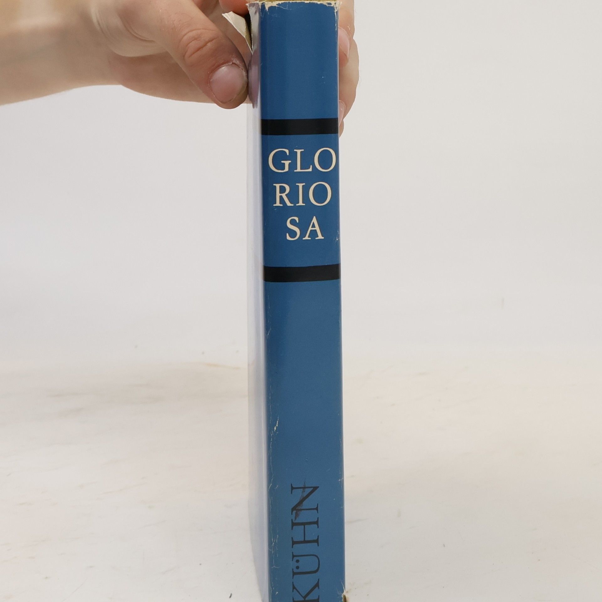 Bodo Kühn Gloriosa