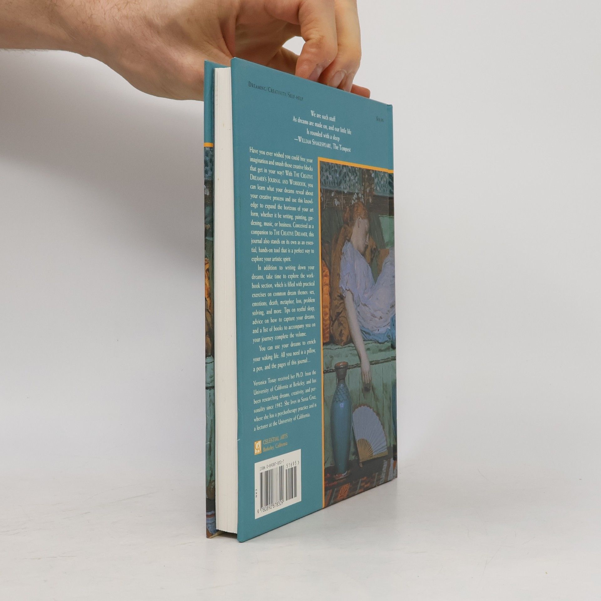 Veronica Tonay The Creative Dreamer's Journal And Workbook