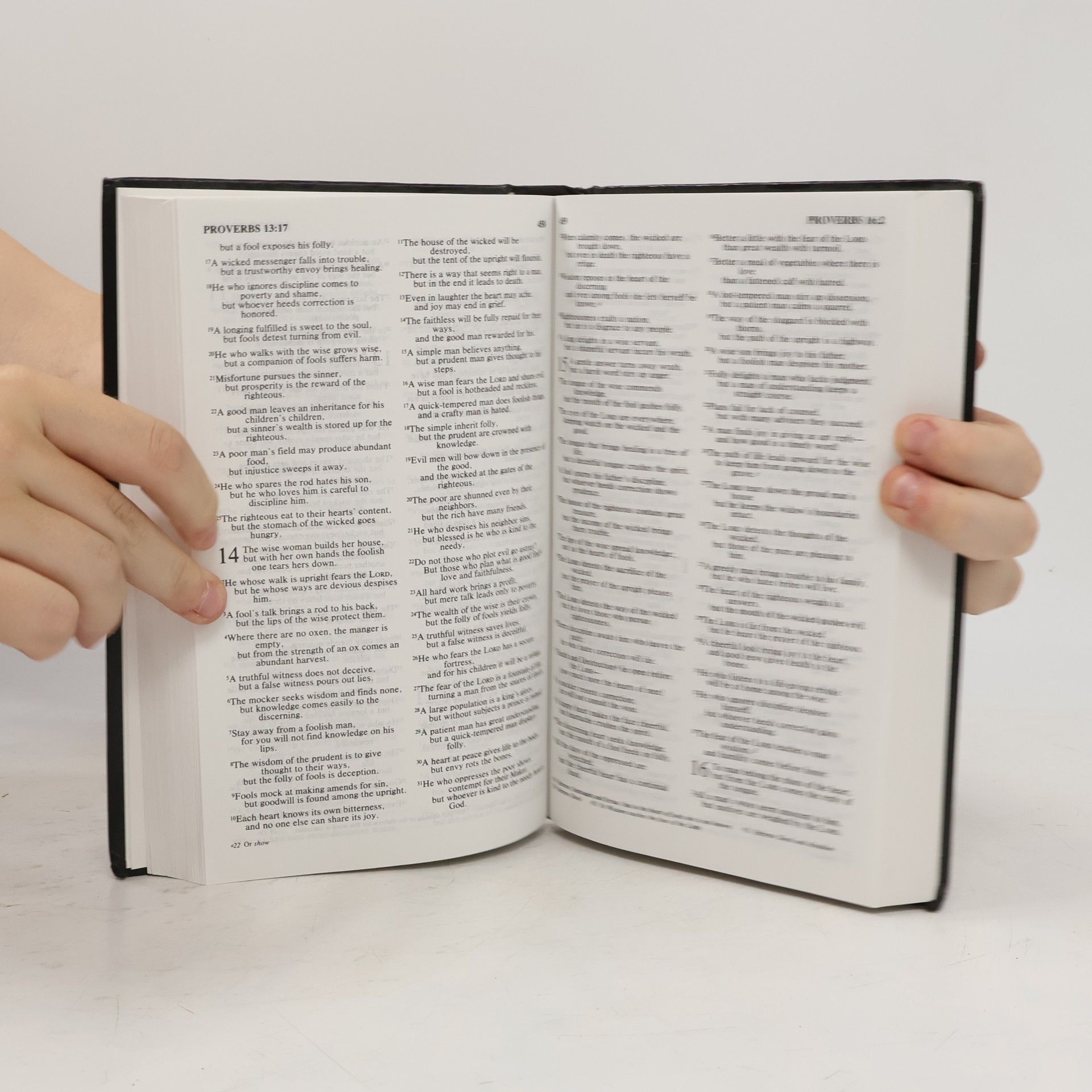 Autorenkollektiv Holy Bible