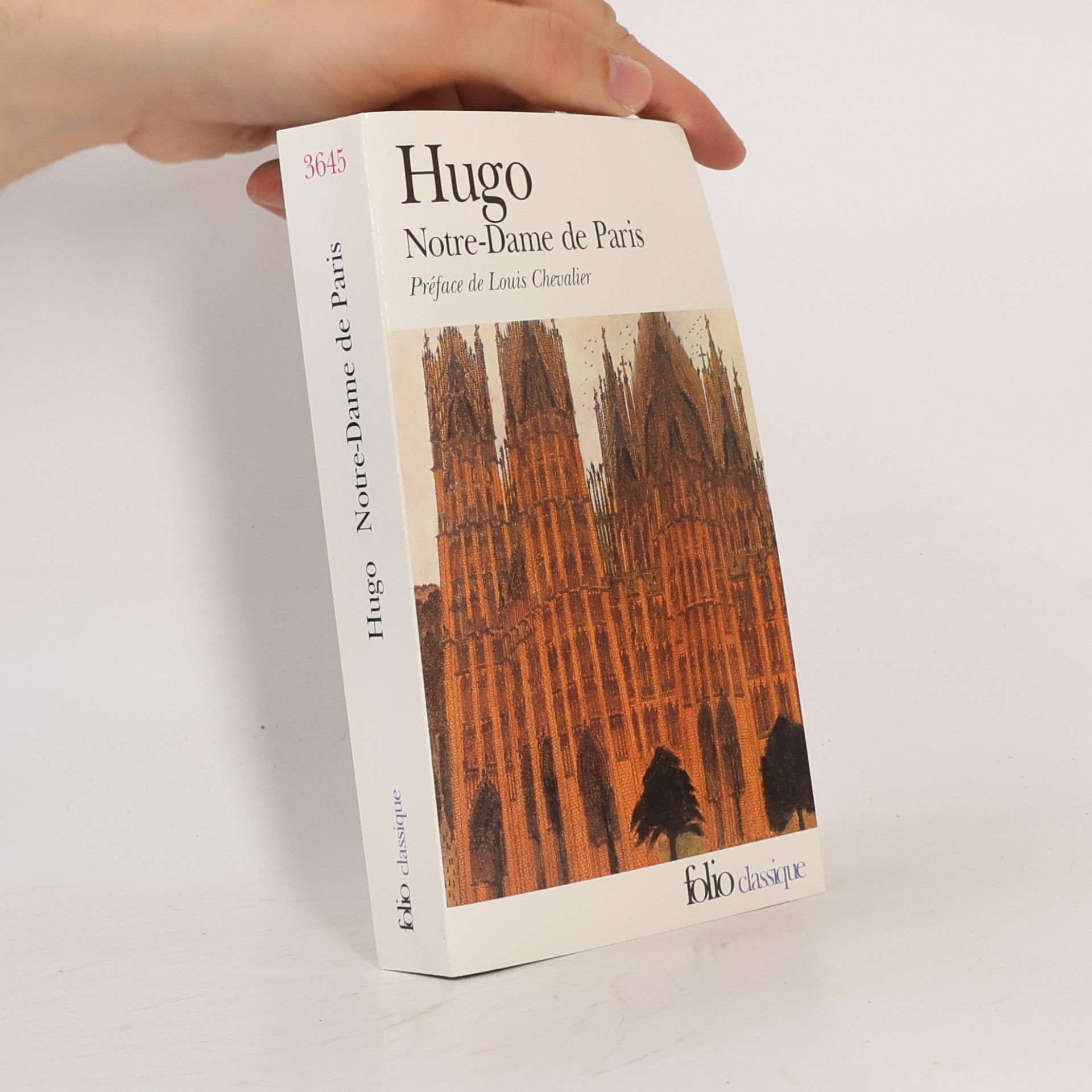 Victor Hugo Notre-Dame de Paris