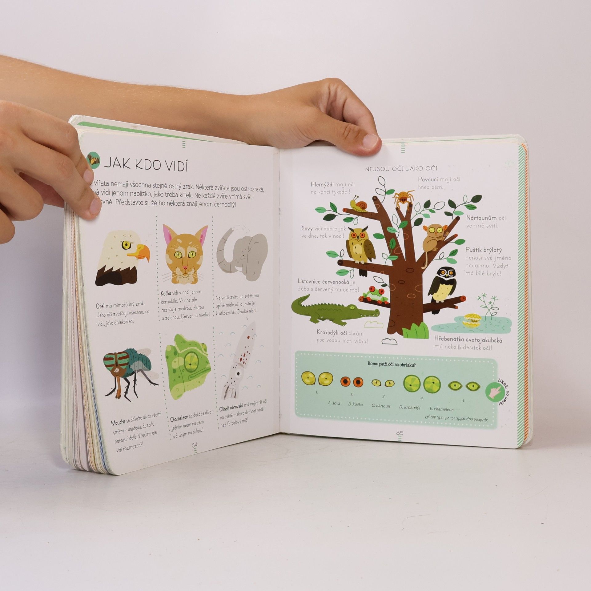 Sylvie Bézuel Zvířata: Encyklopedie Larousse