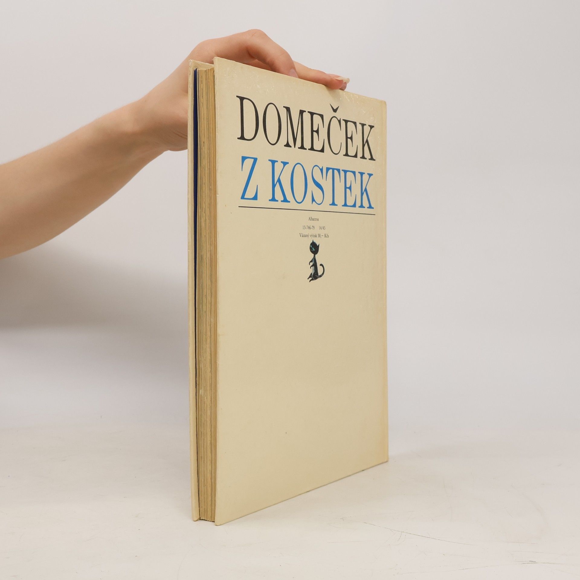 Autorenkollektiv Domeček z kostek