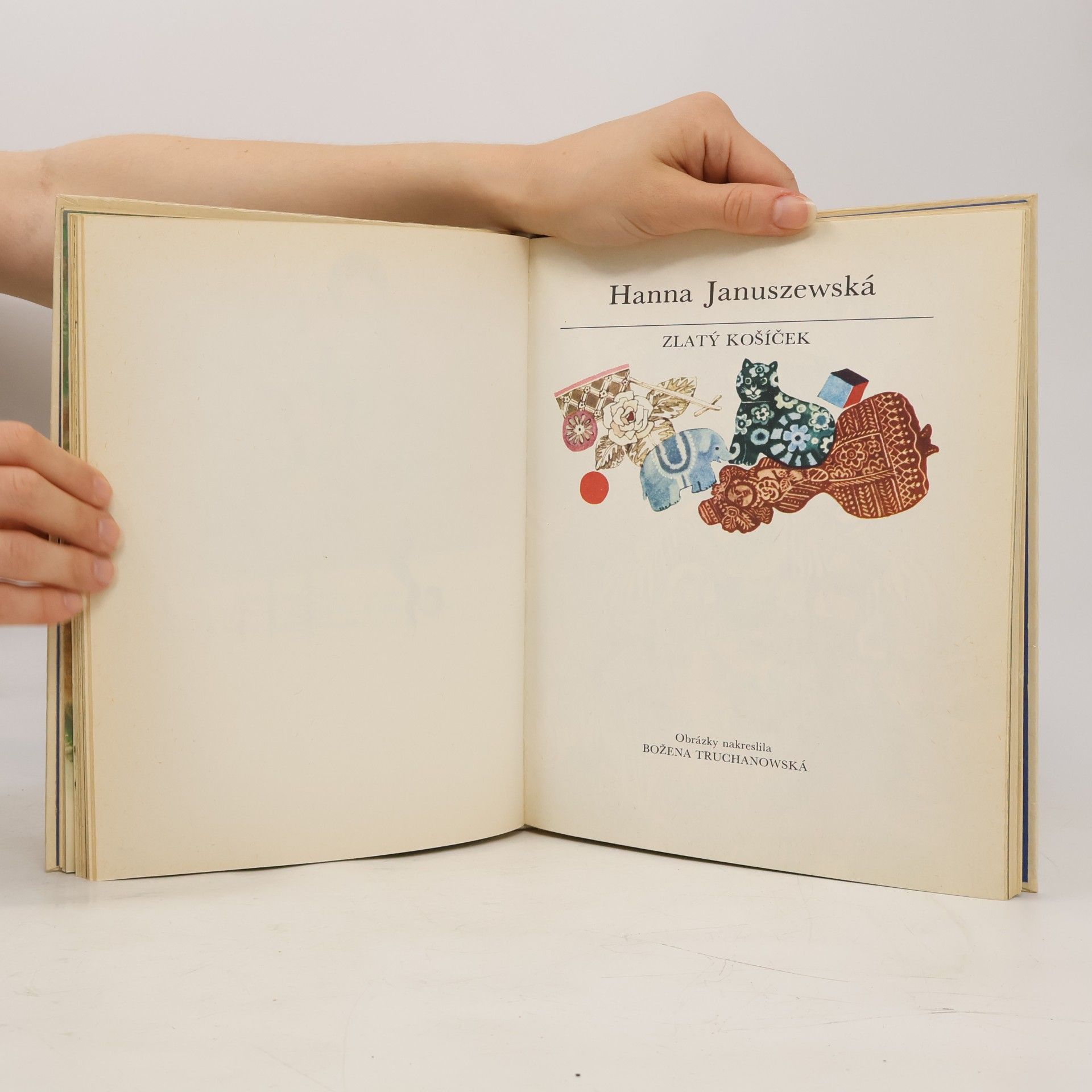 Autorenkollektiv Domeček z kostek