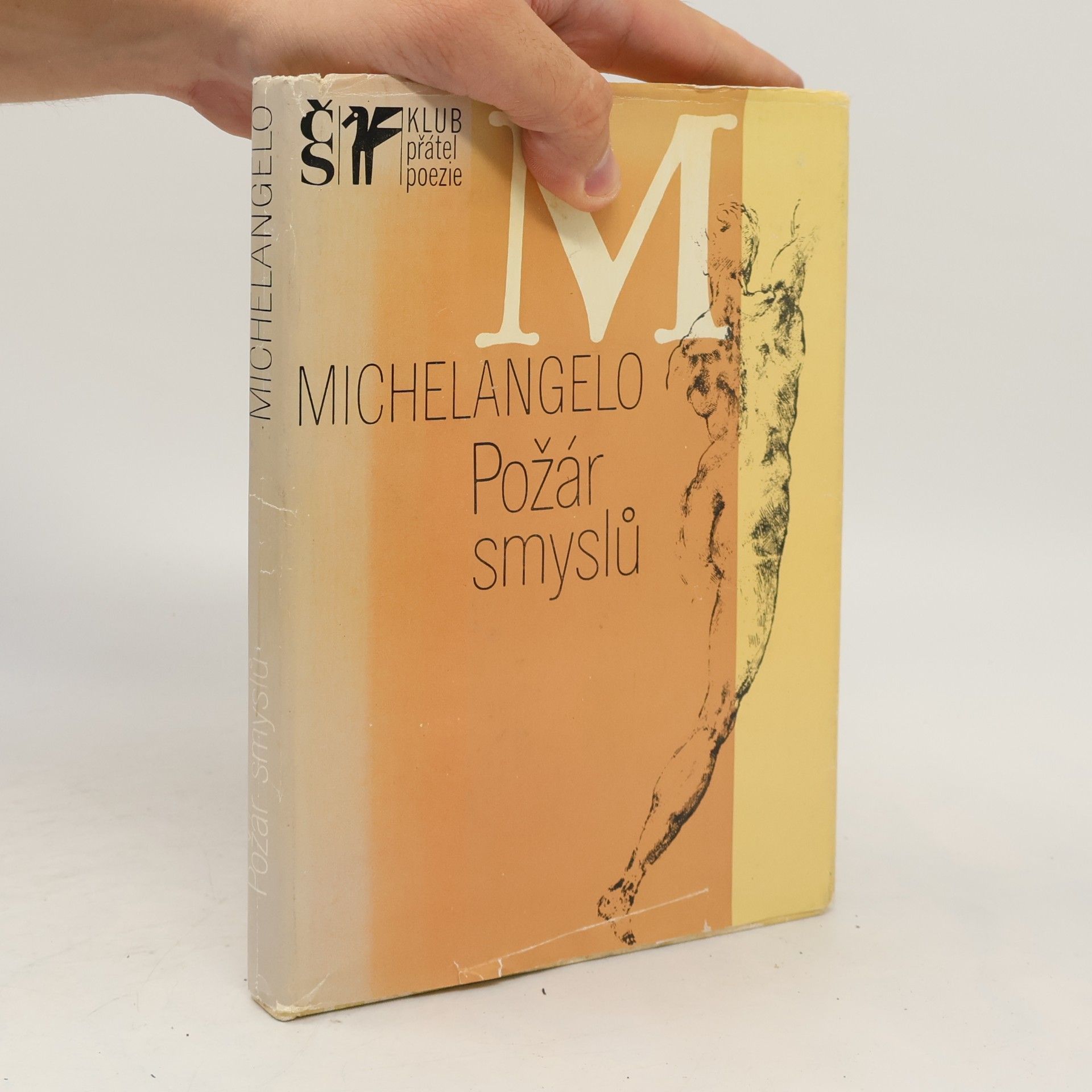 Michelangelo Požár smyslů