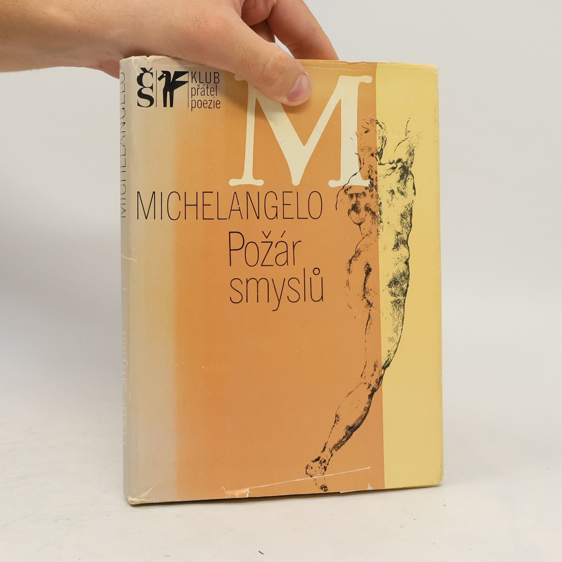 Michelangelo Požár smyslů