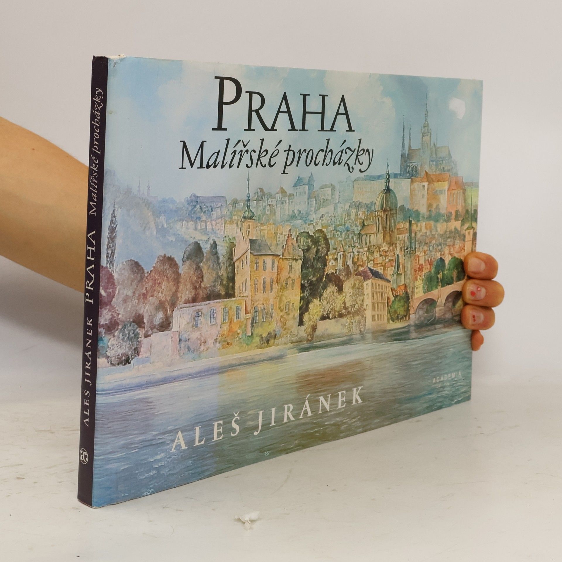 Praha. Malířské procházky.