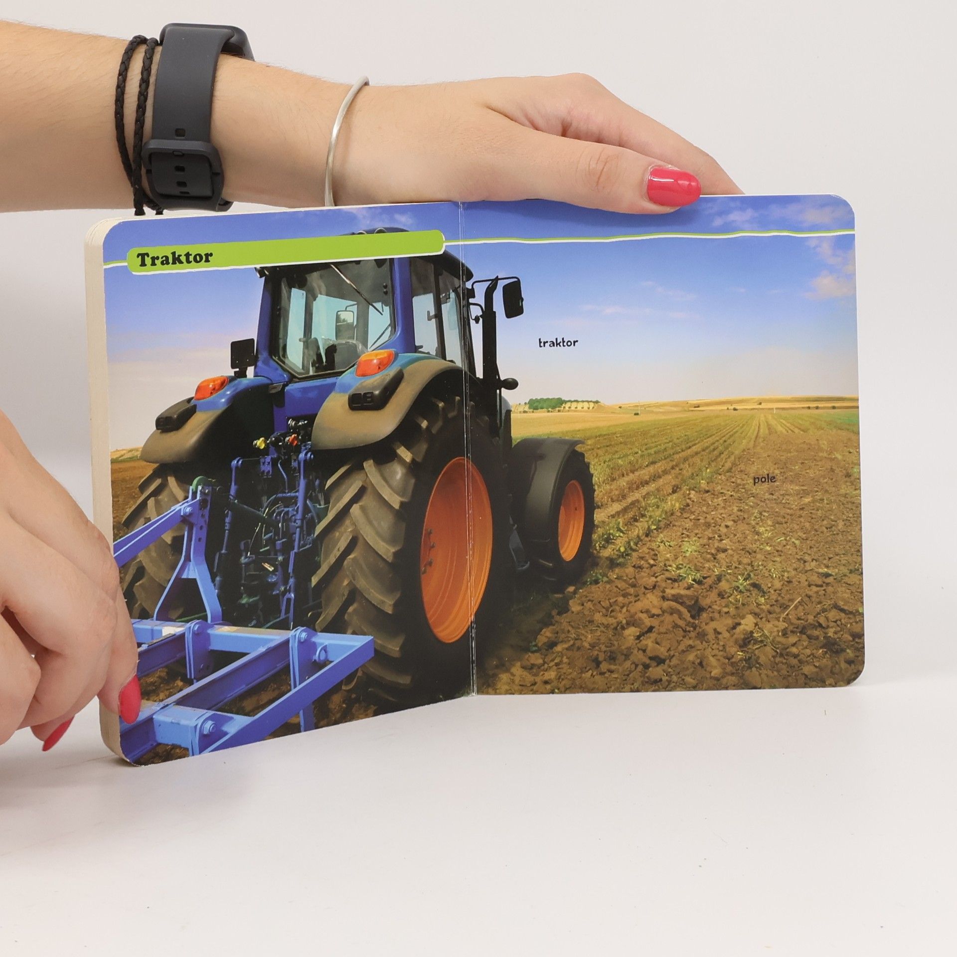 Kolektiv autorů Podívej! Co je to? Život na statku