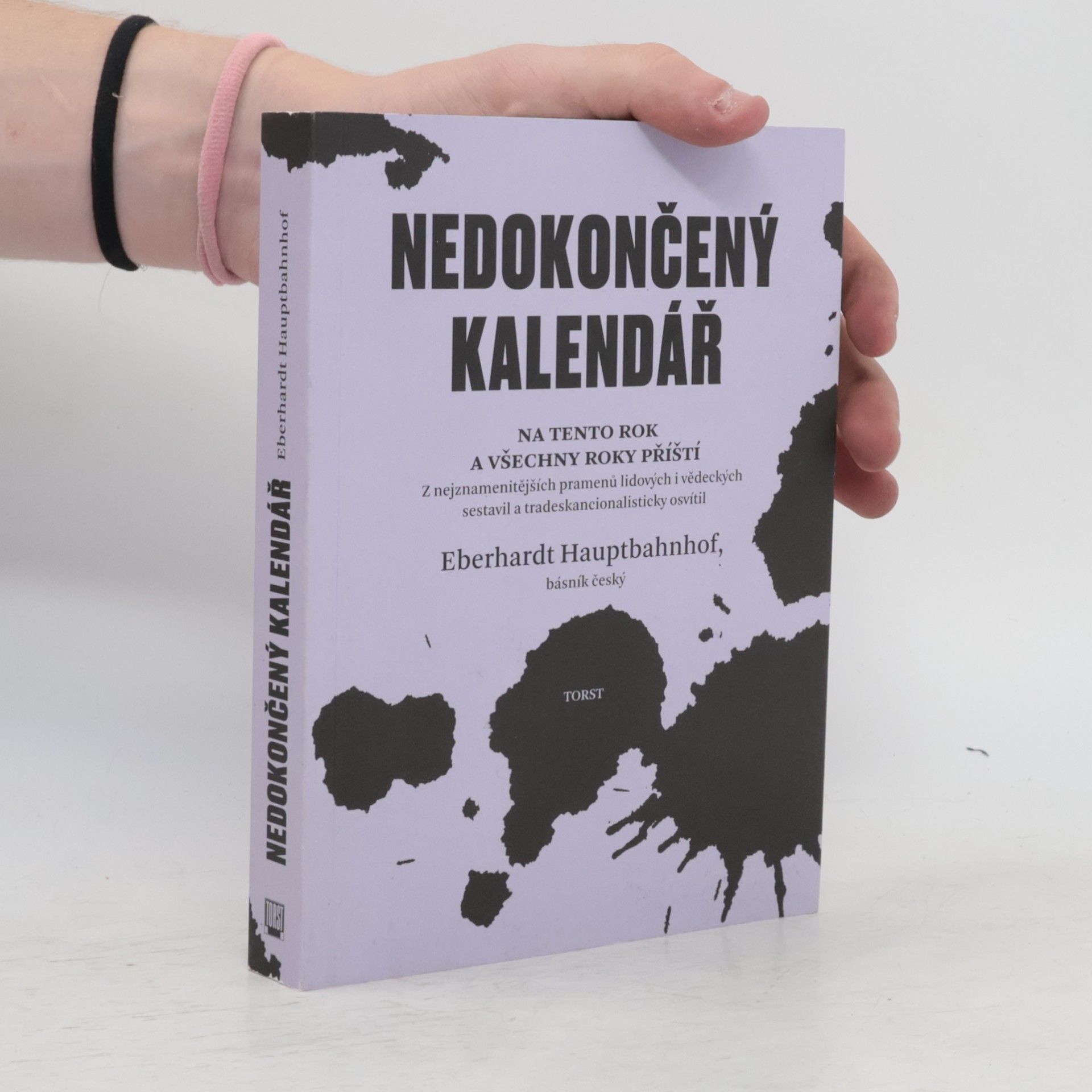 Hauptbahnhof Eberhardt Nedokončený kalendář na tento rok a všechny roky příští