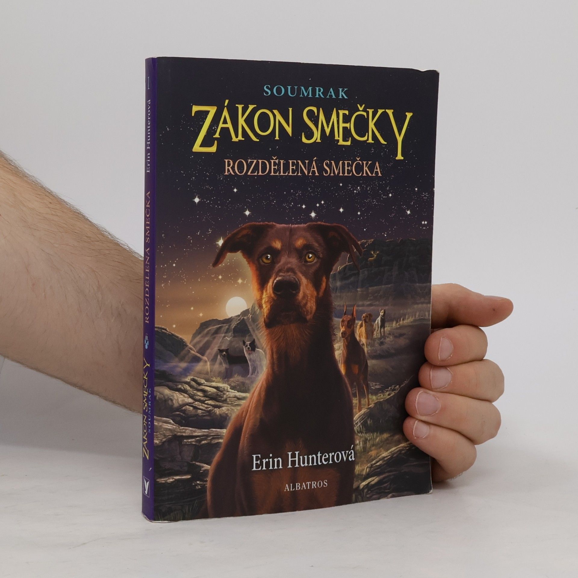 Erin Hunter Rozdělená smečka