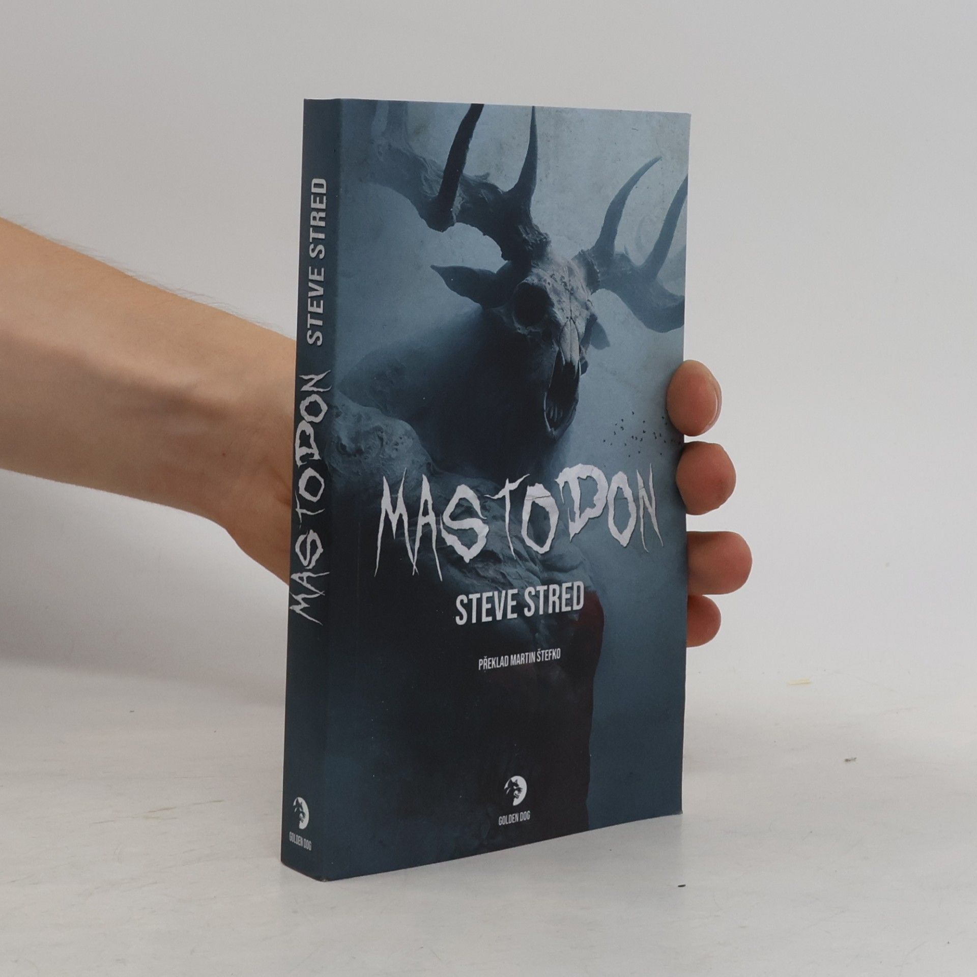Steve Stred Mastodon