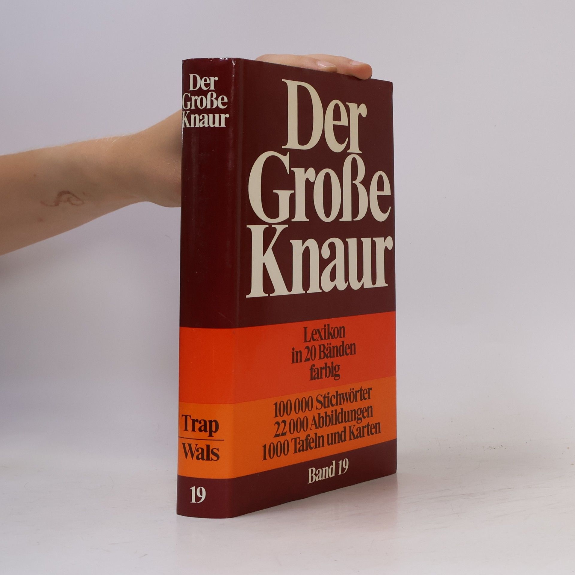 AA.VV. Der Große Knaur 19