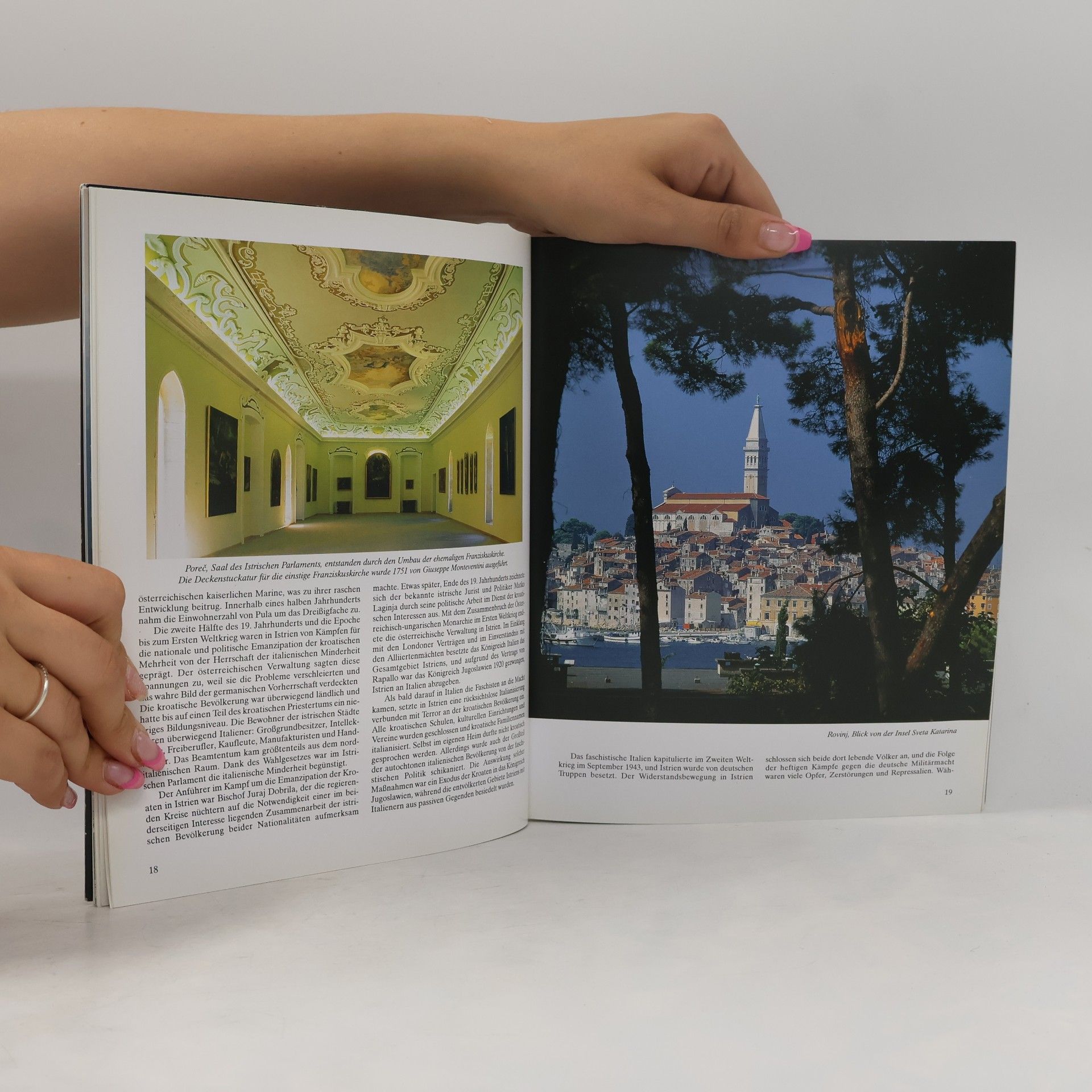 Antun Travirka Istria: History, Culture, Heritage
